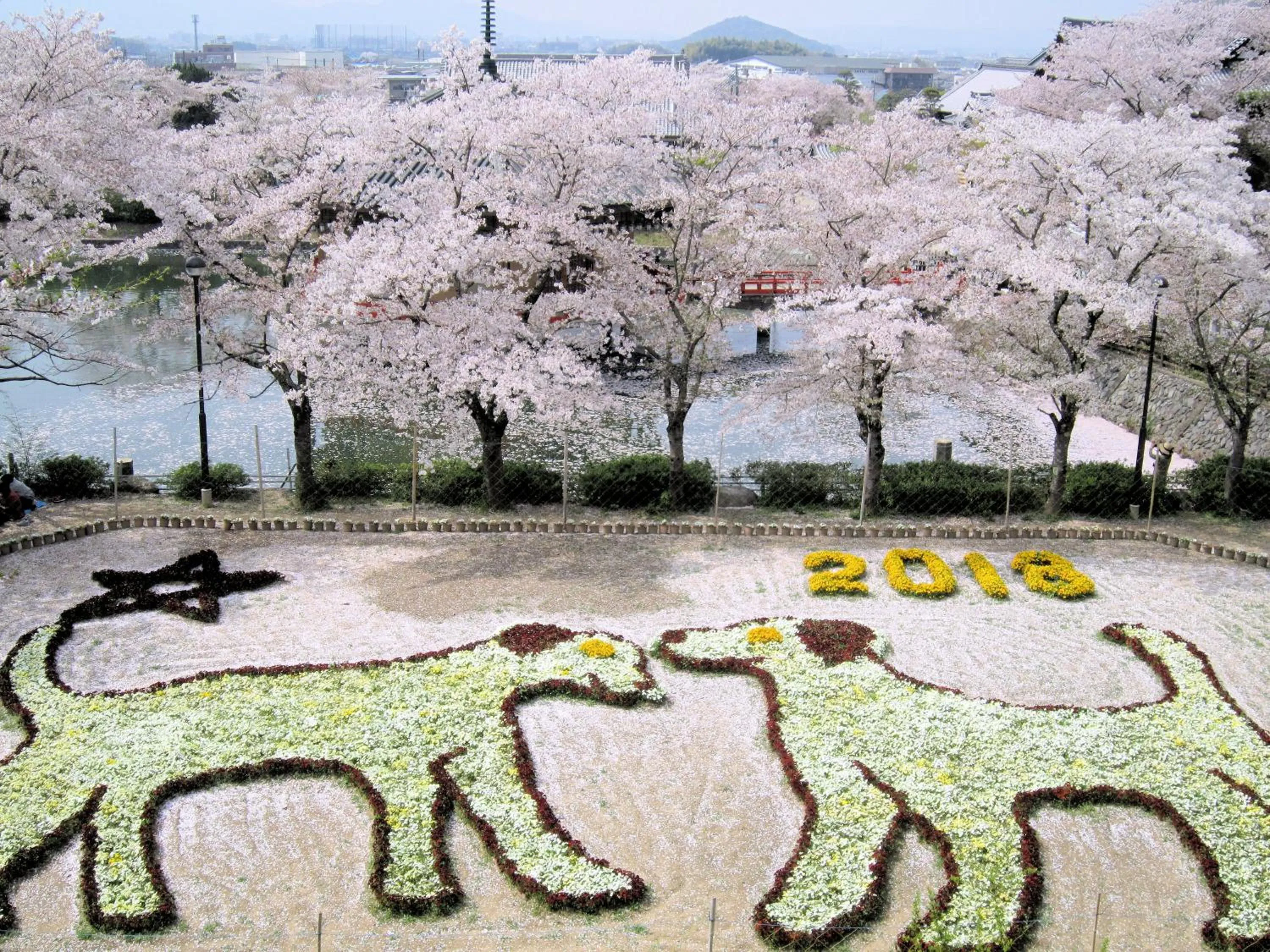 Spring in Ryokan Taishoro