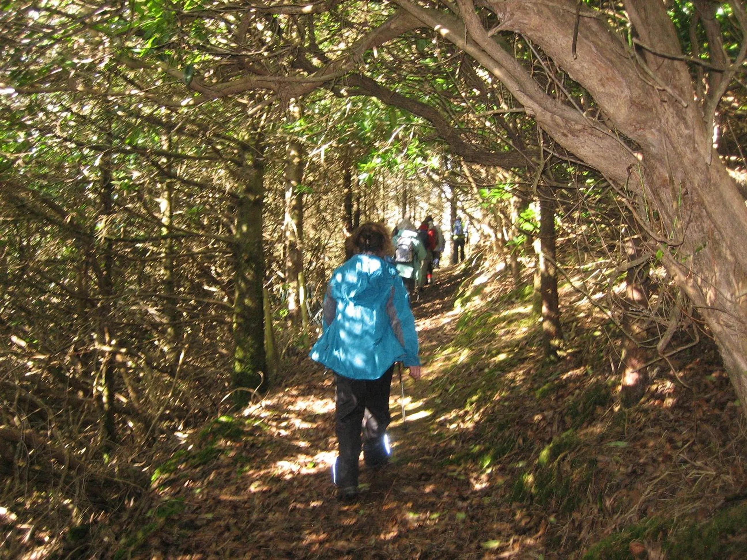 Activities in Mulranny Park Hotel