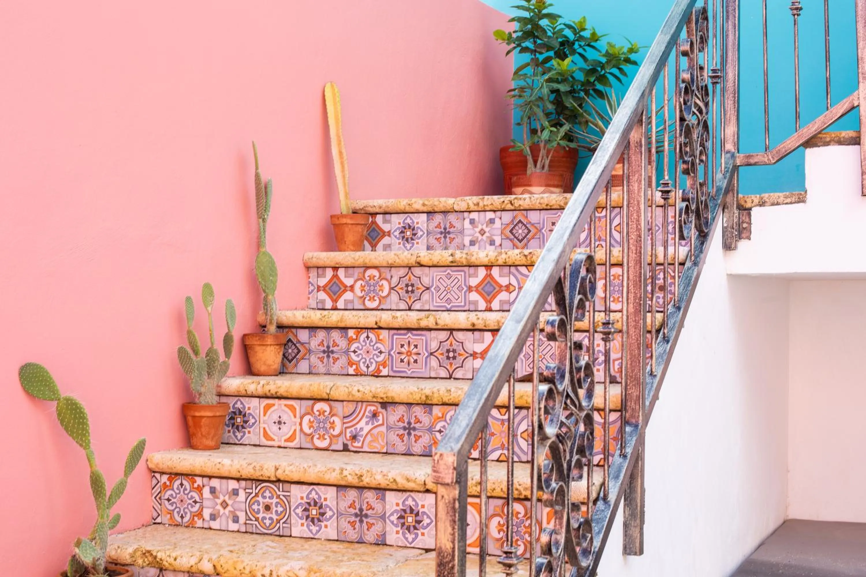 Garden in BOHO Bohemian Boutique Hotel