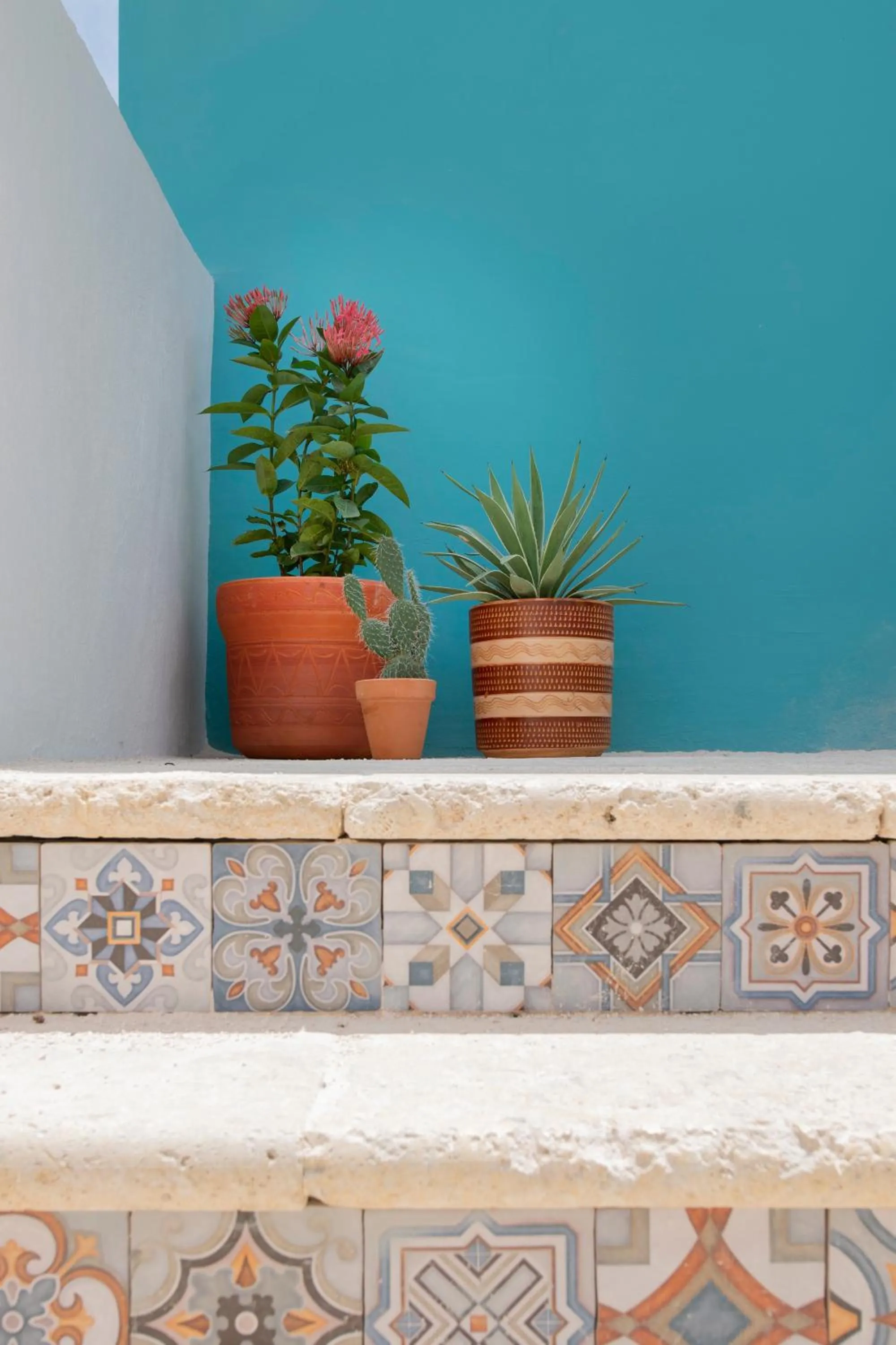 Garden in BOHO Bohemian Boutique Hotel