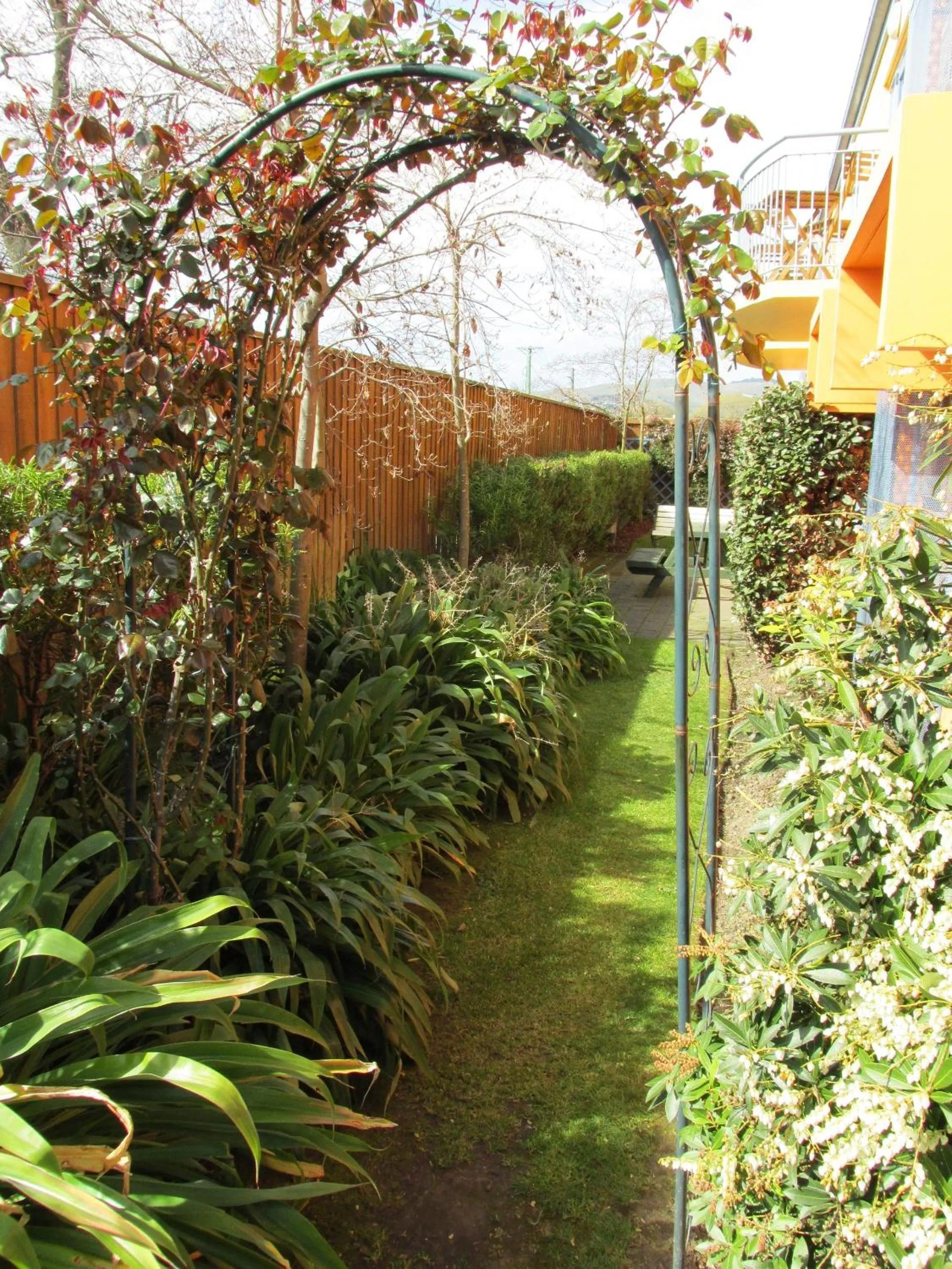 Garden in Addington Court Motel