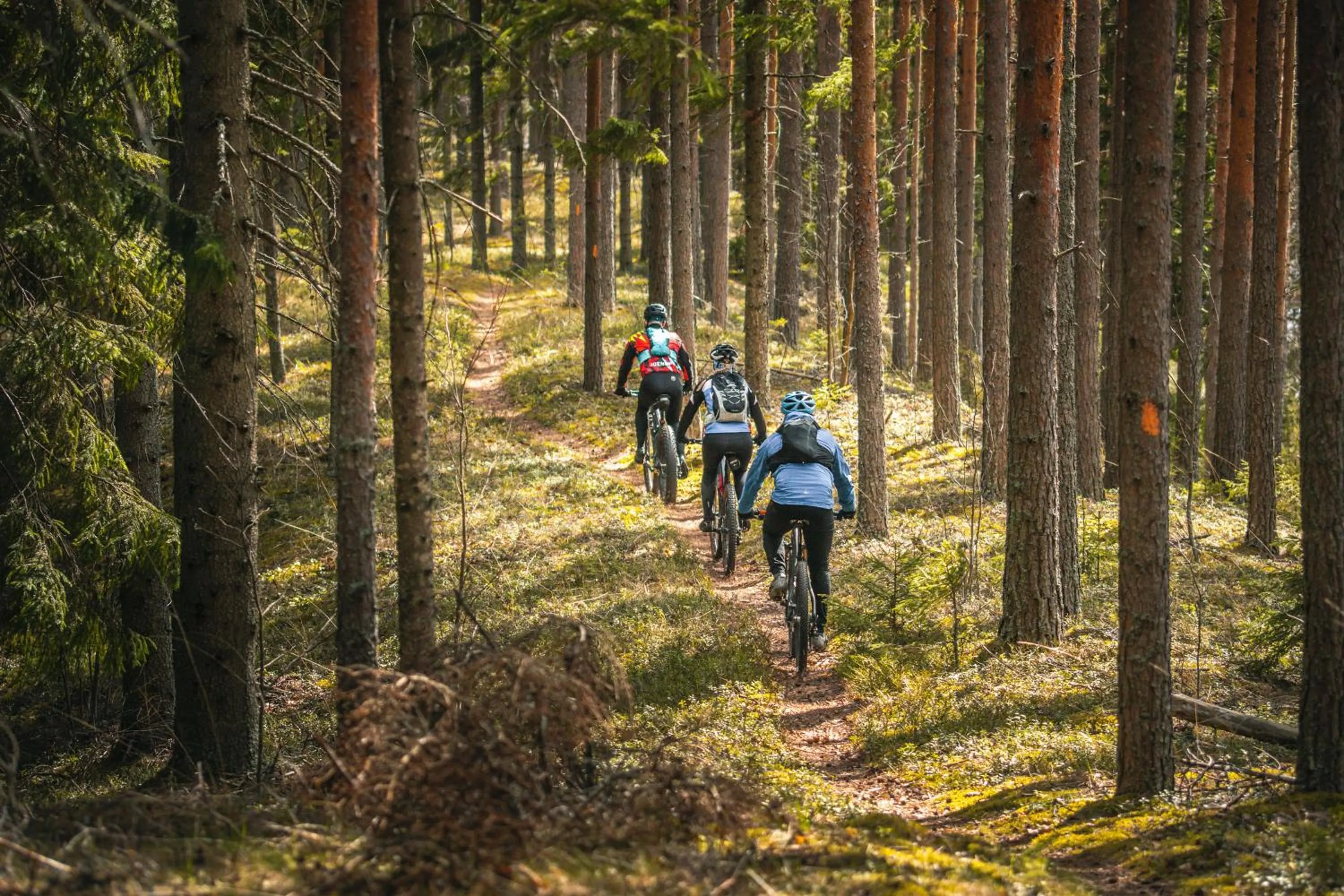 Hiking in Holiday Resort Harjun Portti