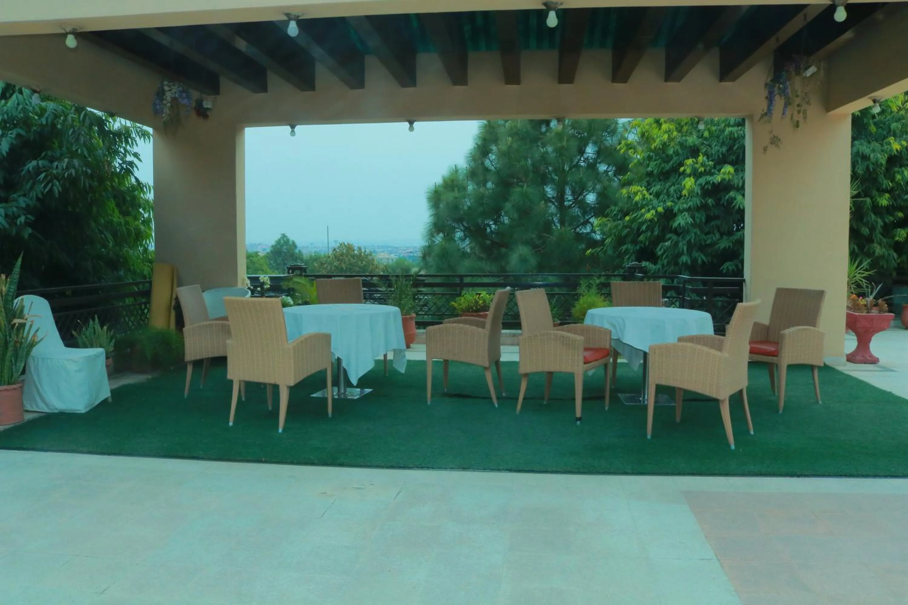 Garden in Safari Club 1