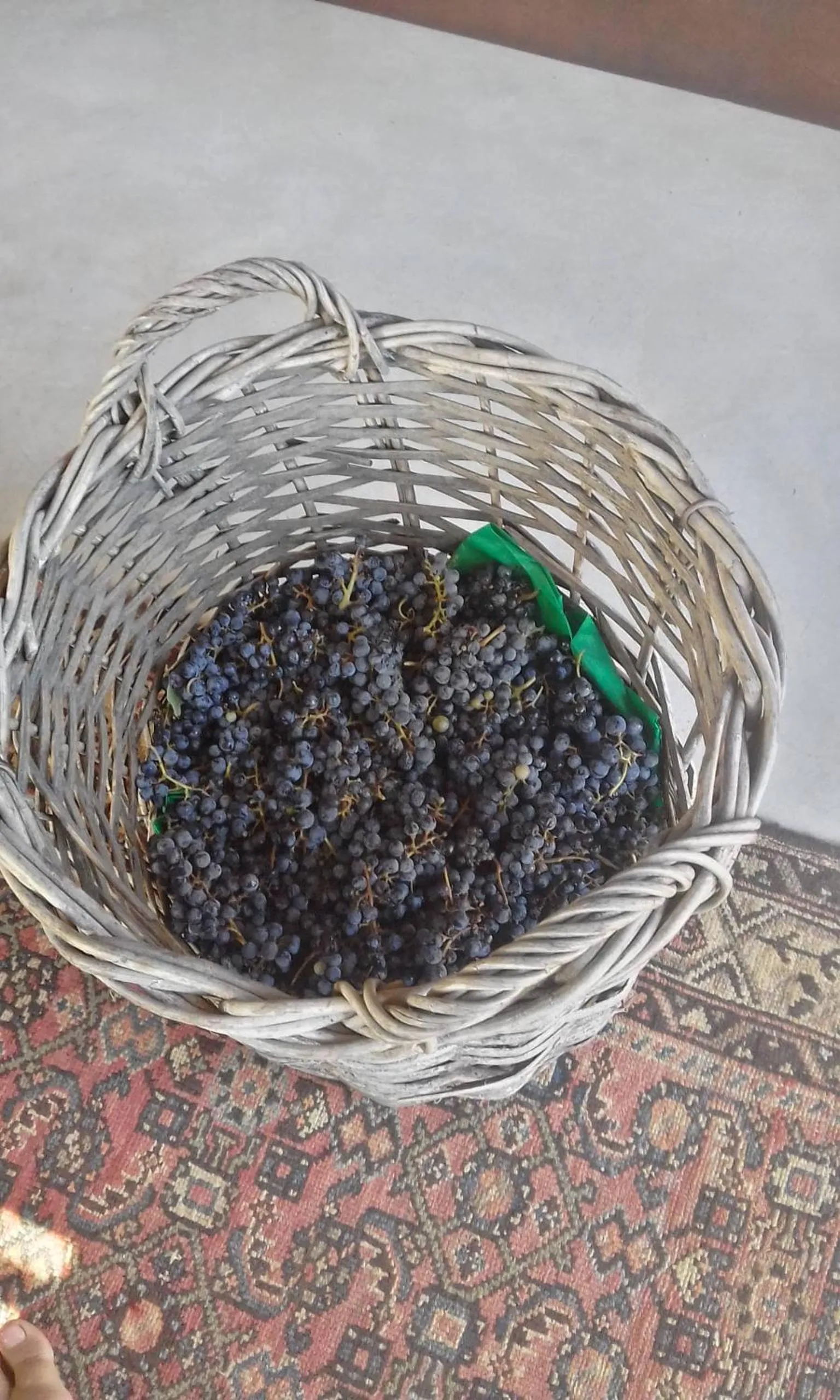 Entertainment in Middelplaas Paarl Guesthouse