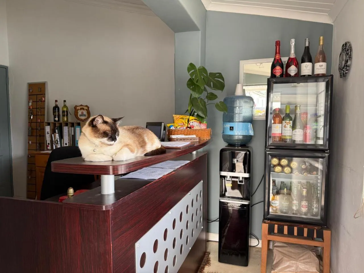 Lobby or reception in Middelplaas Paarl Guesthouse