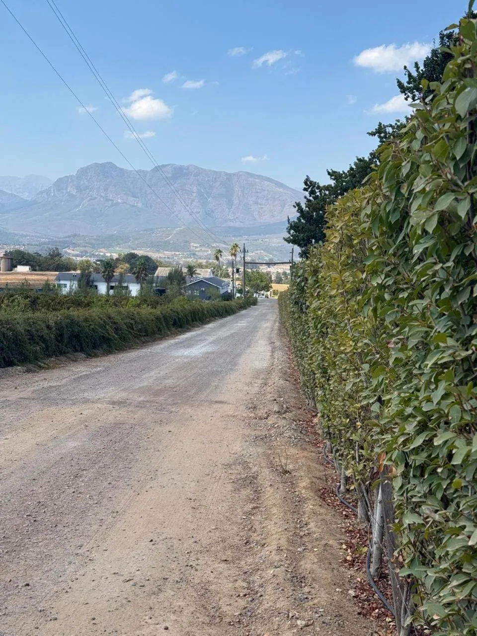 Natural landscape in Middelplaas Paarl Guesthouse