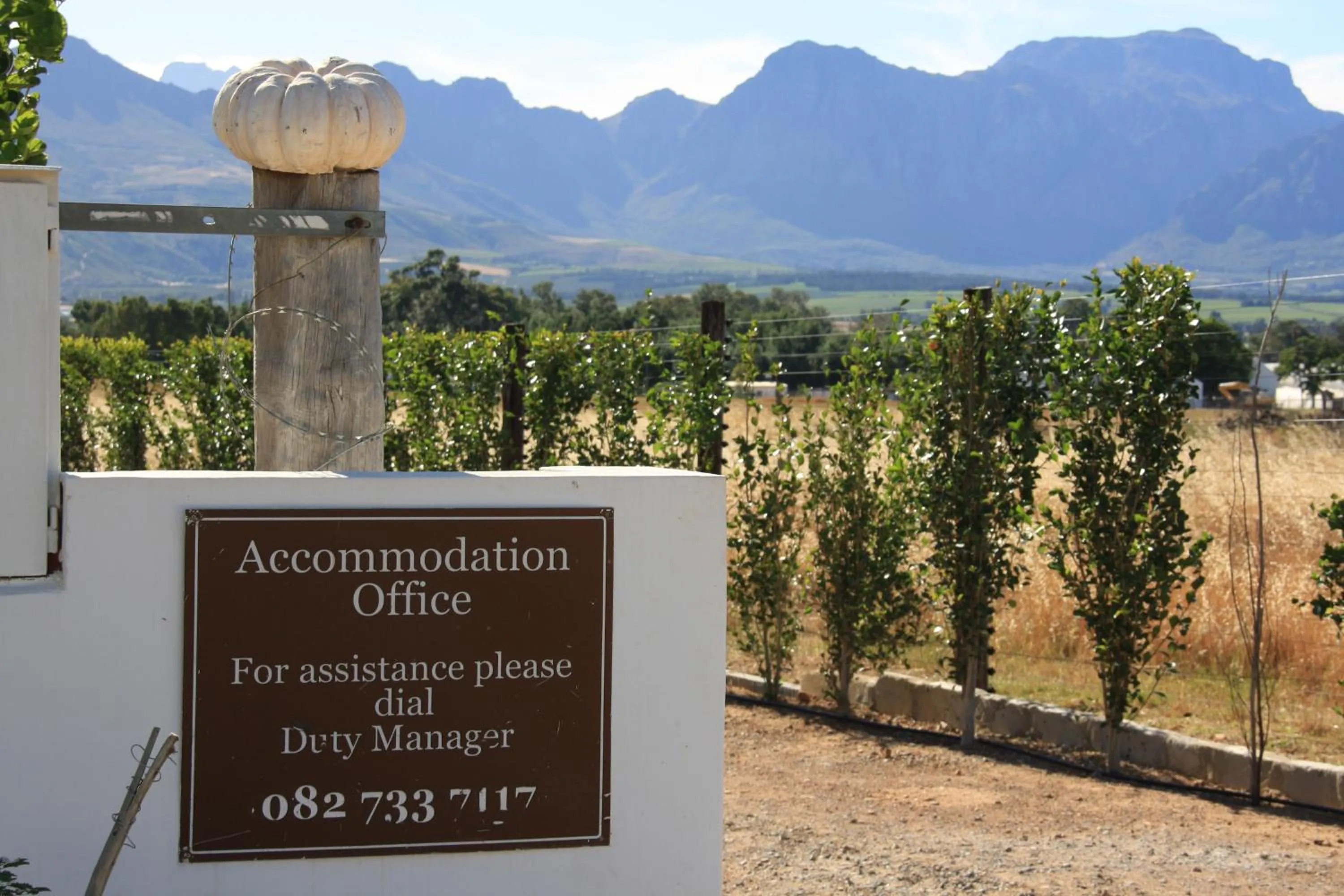 Property logo or sign in Middelplaas Paarl Guesthouse