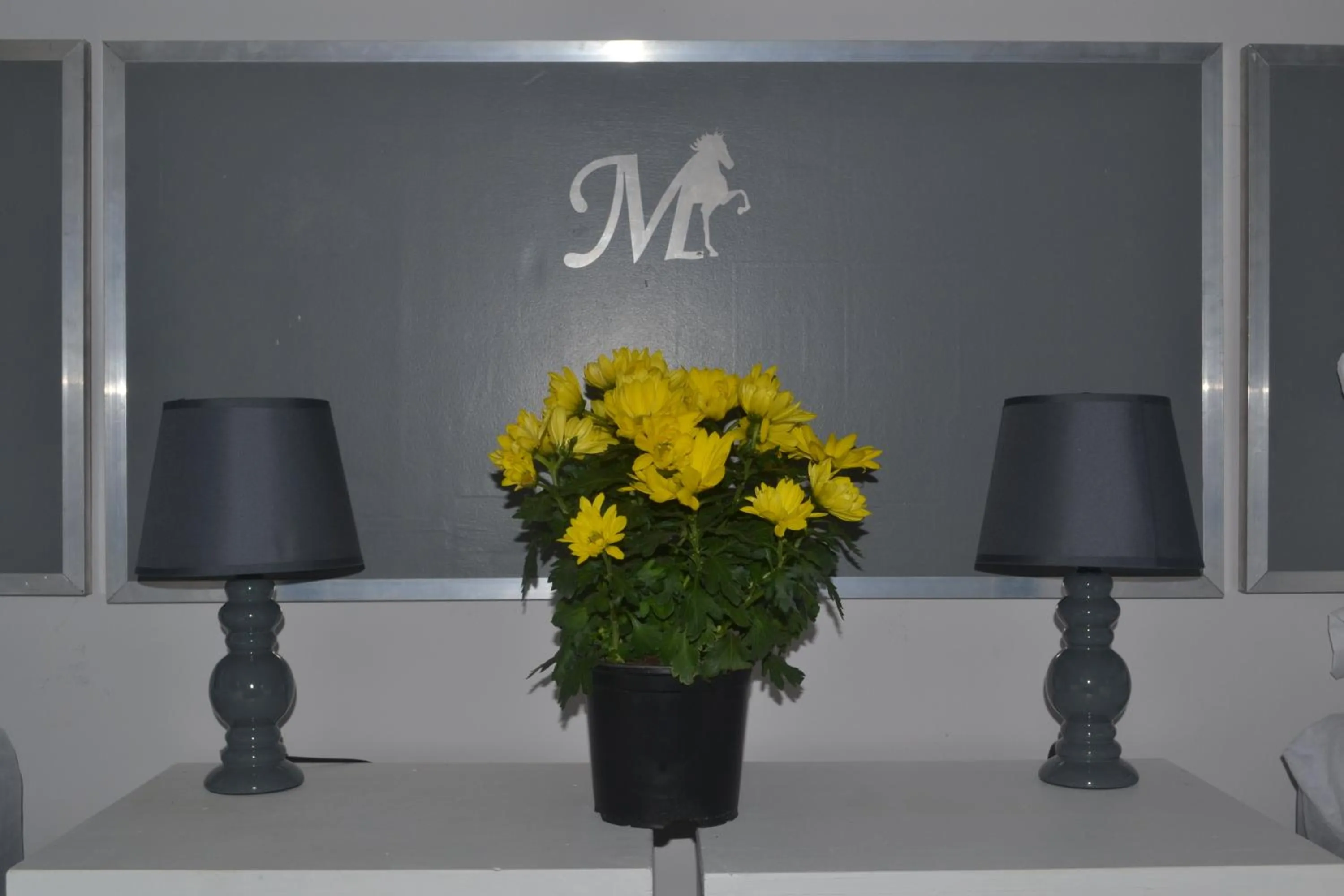 Bed in Middelplaas Paarl Guesthouse