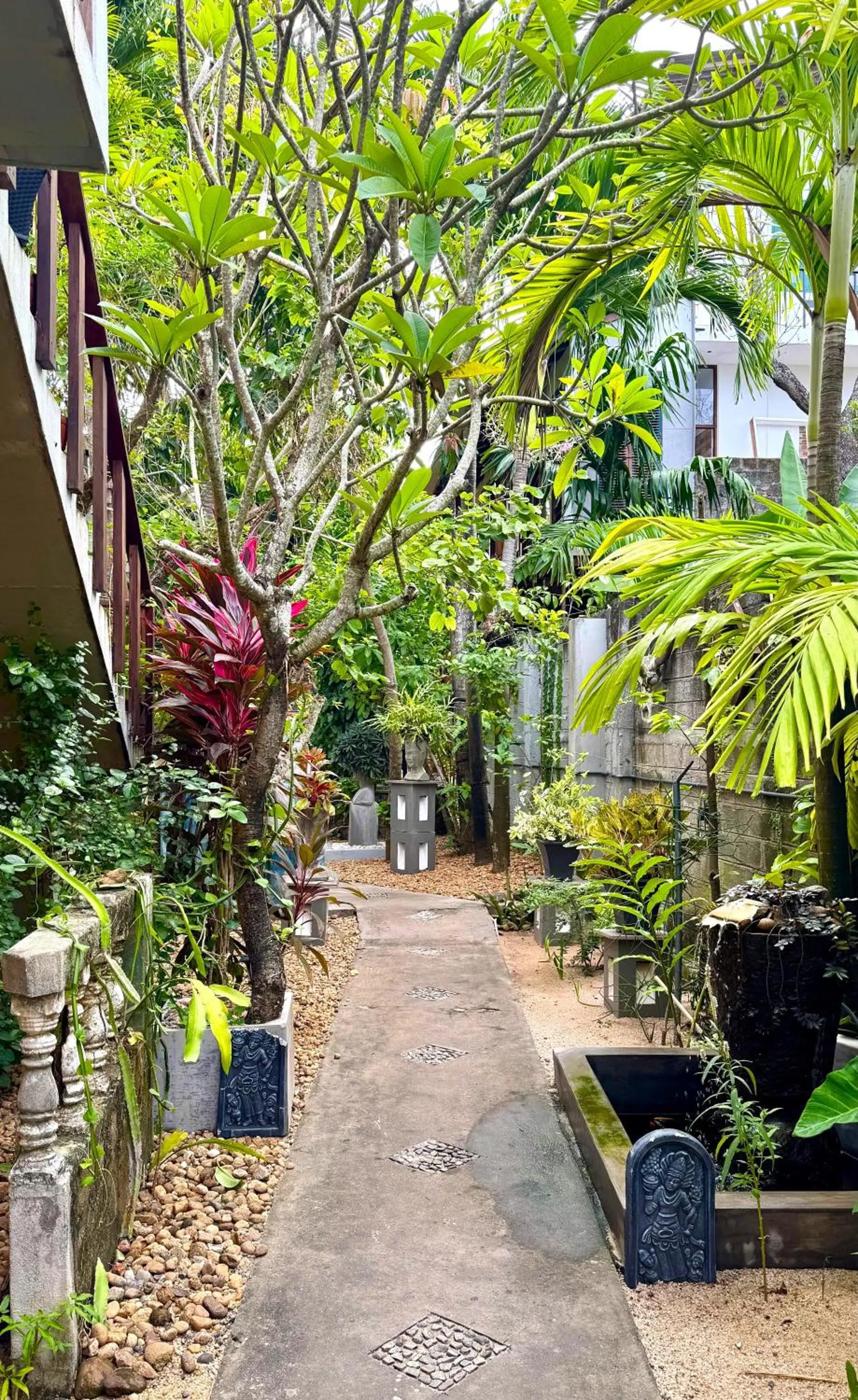 Garden in Gomez Place