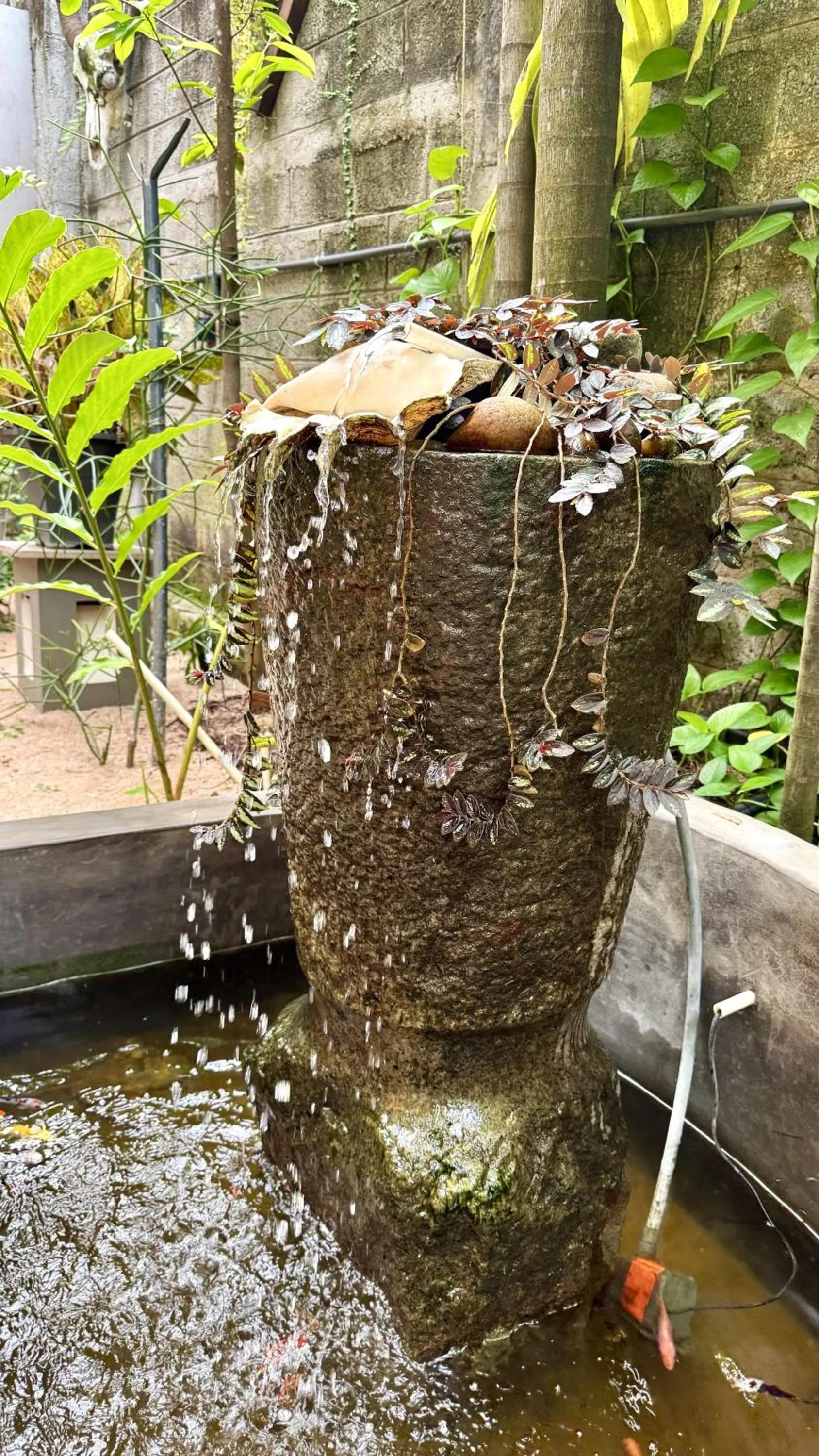 Garden in Gomez Place