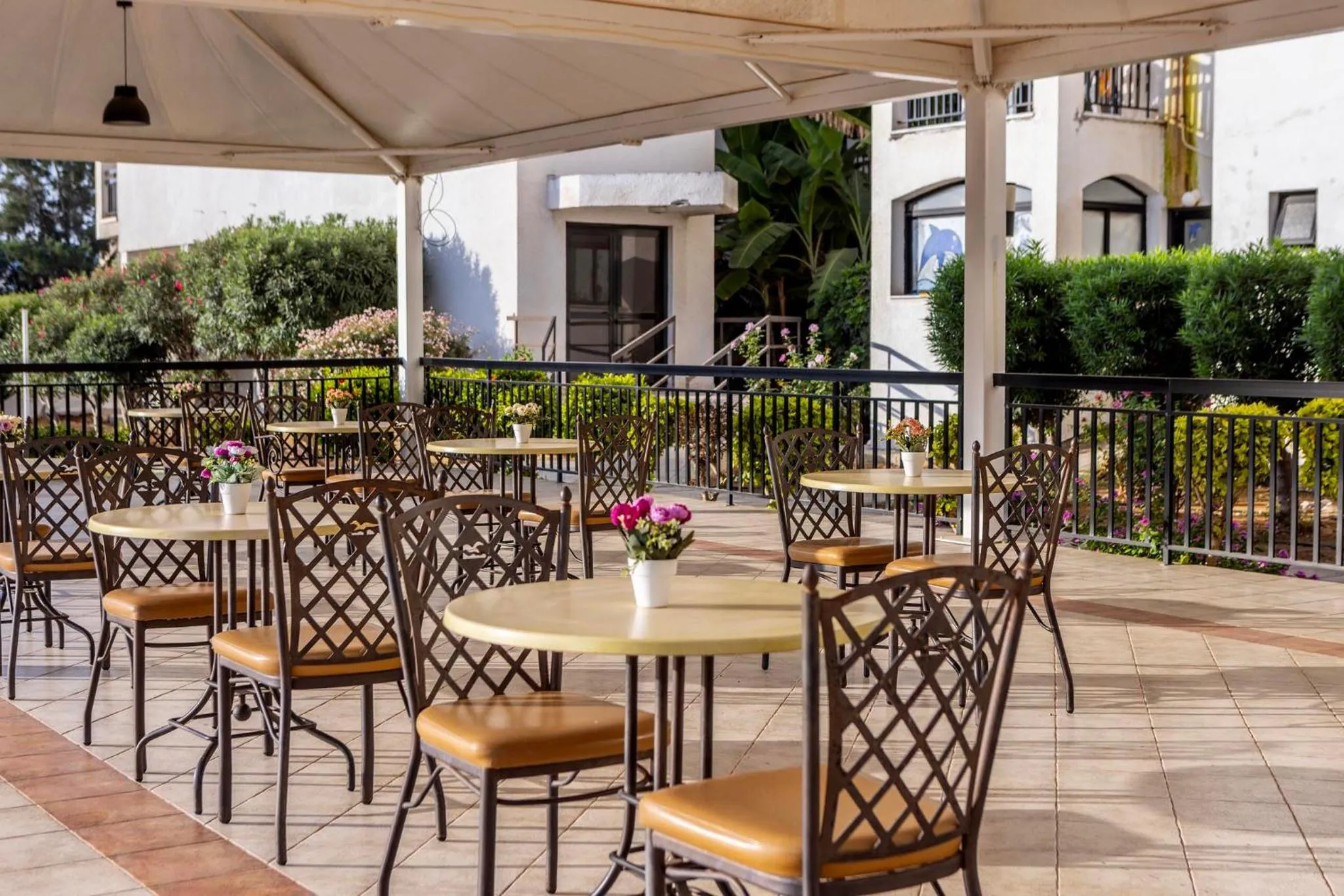 Restaurant/places to eat in Seagull Hotel Apartments