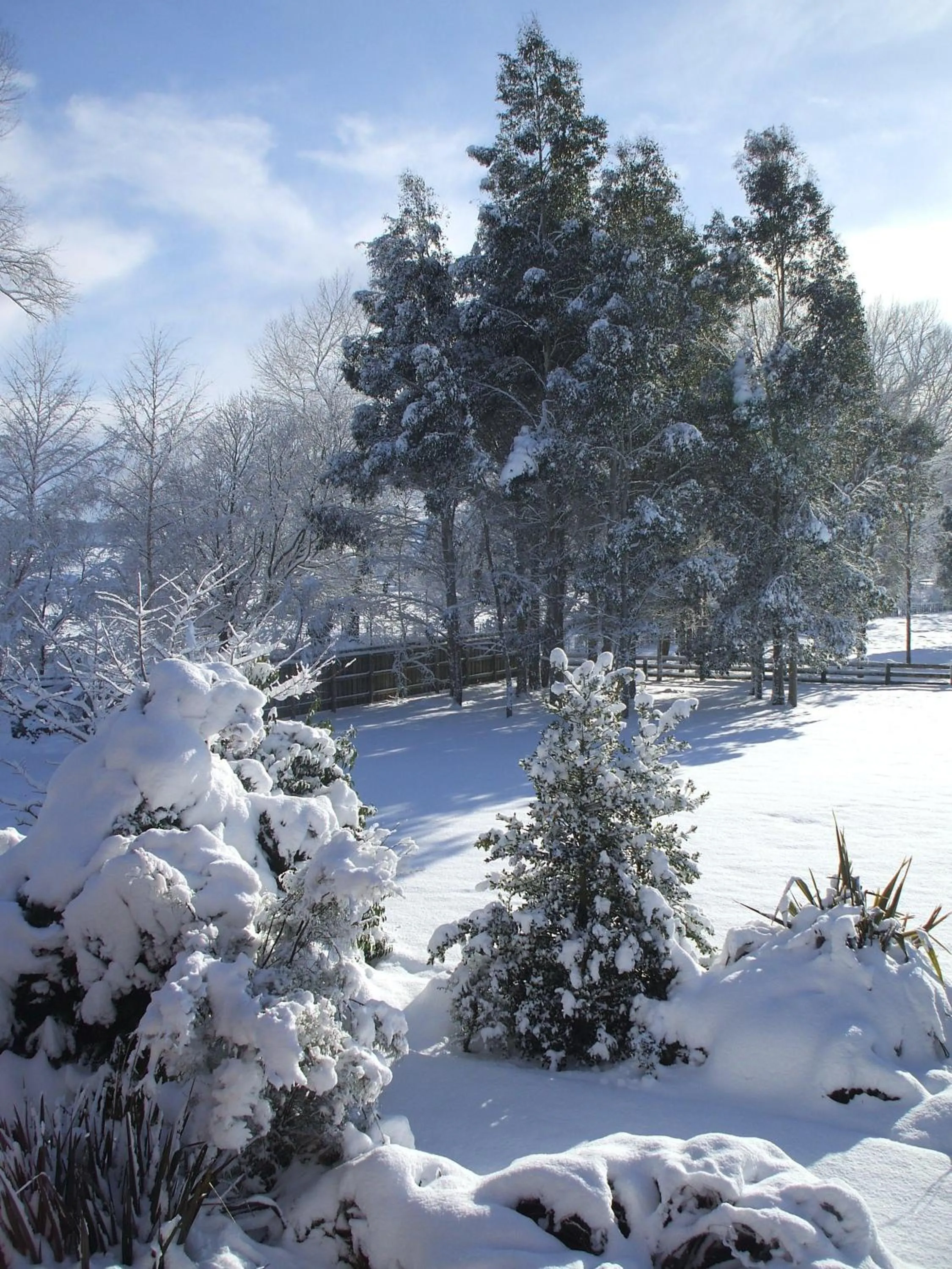 Winter in The River Lodge