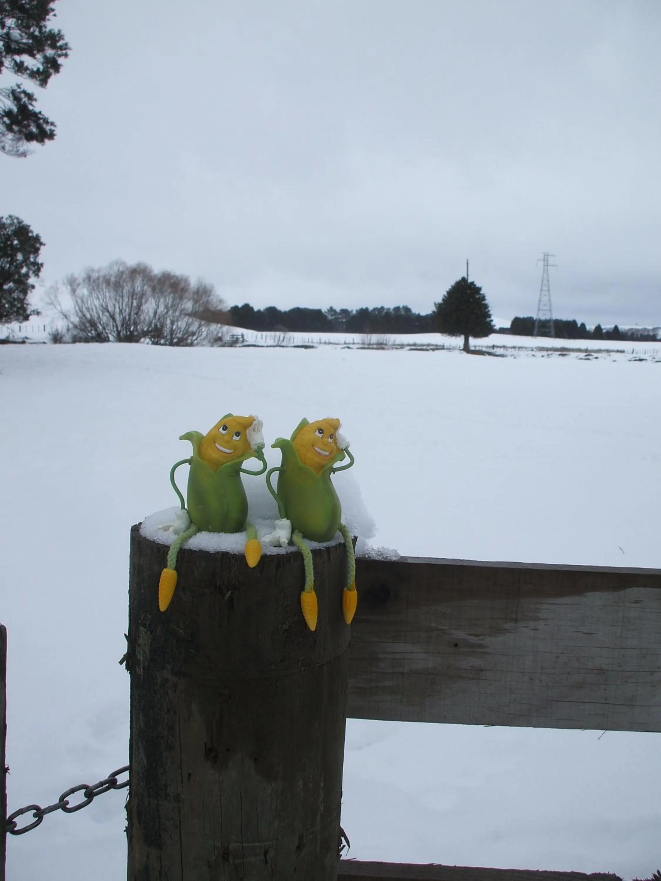 Other in The River Lodge