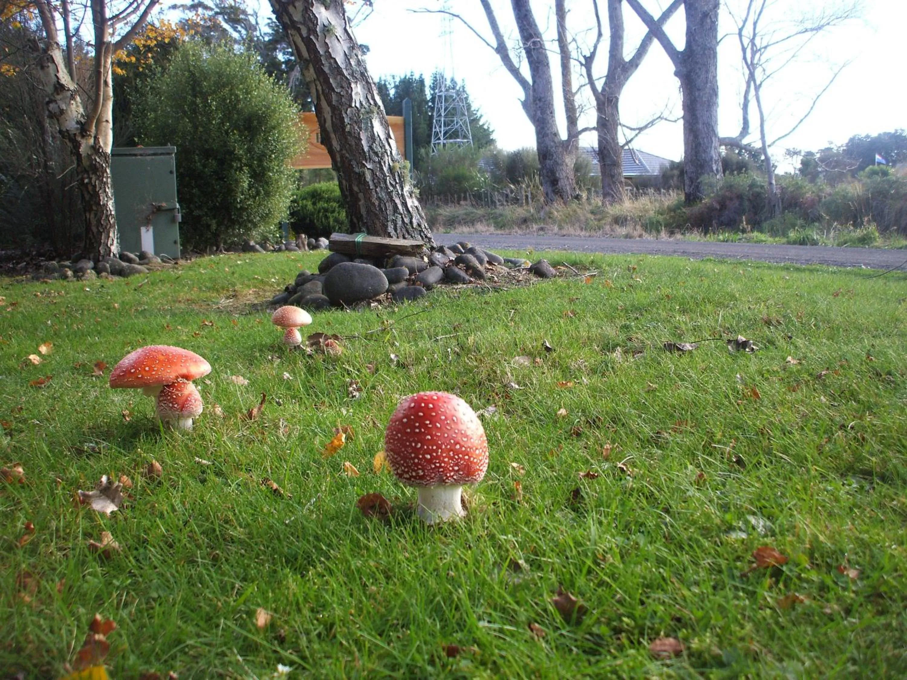 Other in The River Lodge