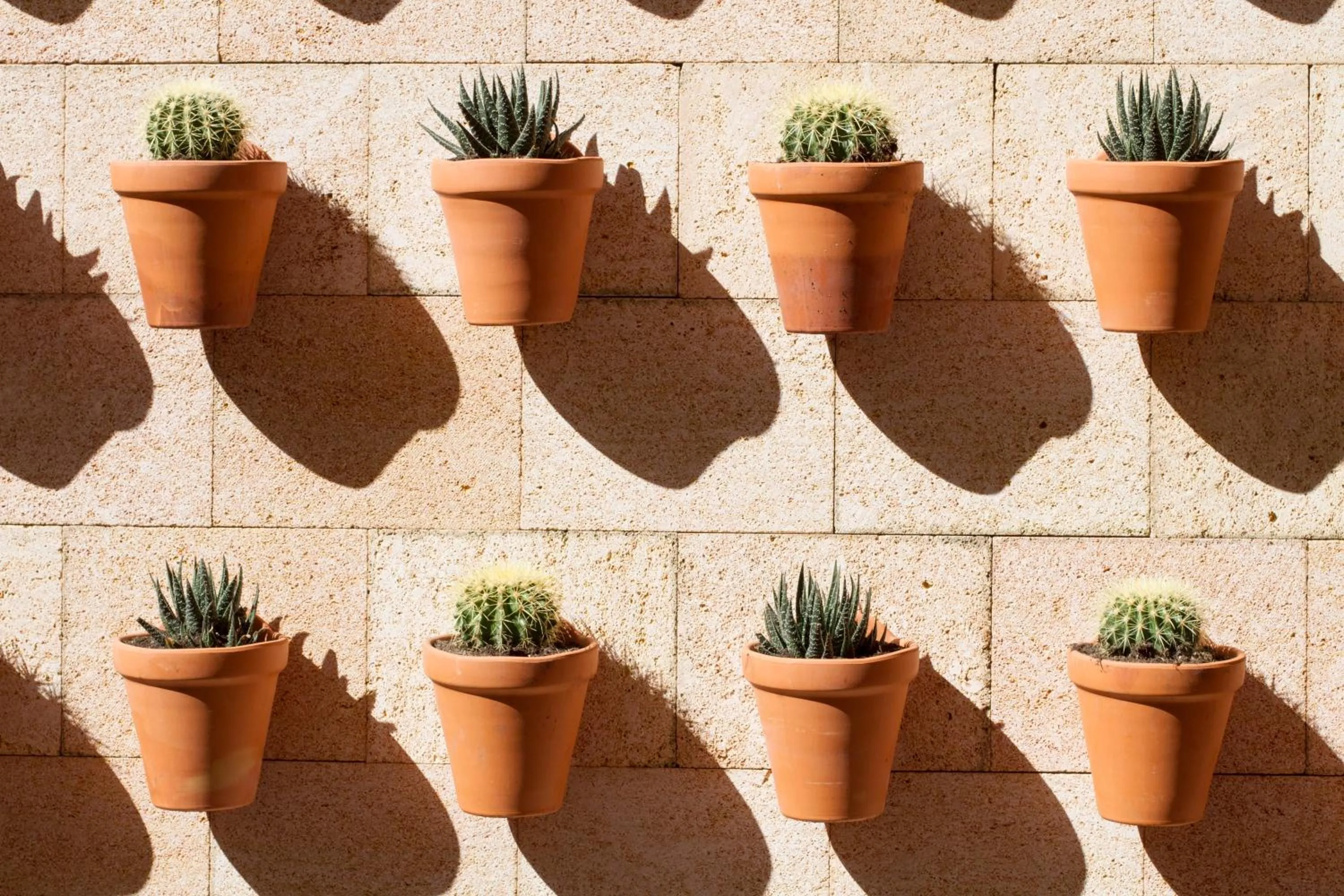 Balcony/Terrace in Angels Boutique - Turismo de interior
