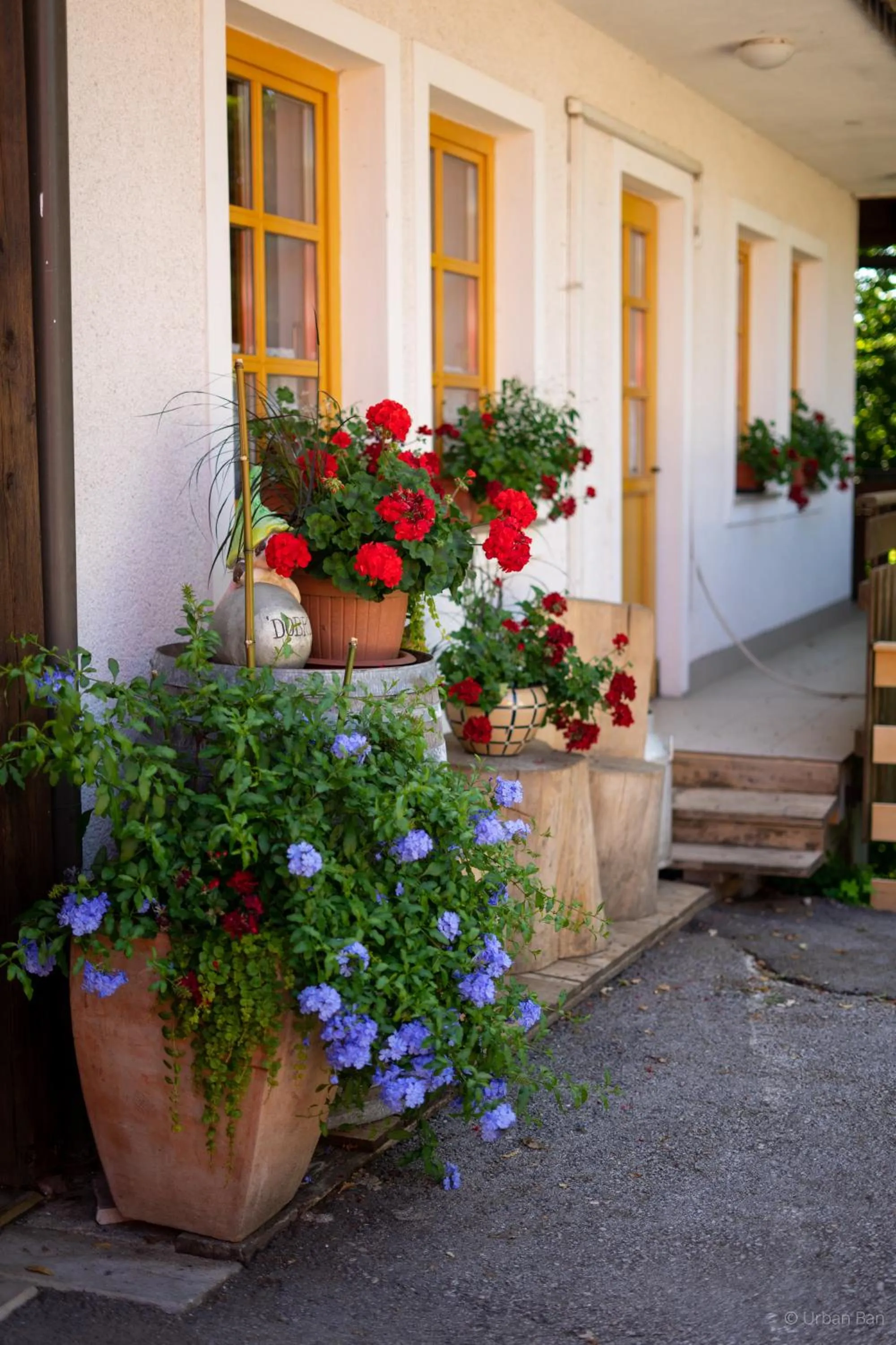 Property building in Gostilna Logar