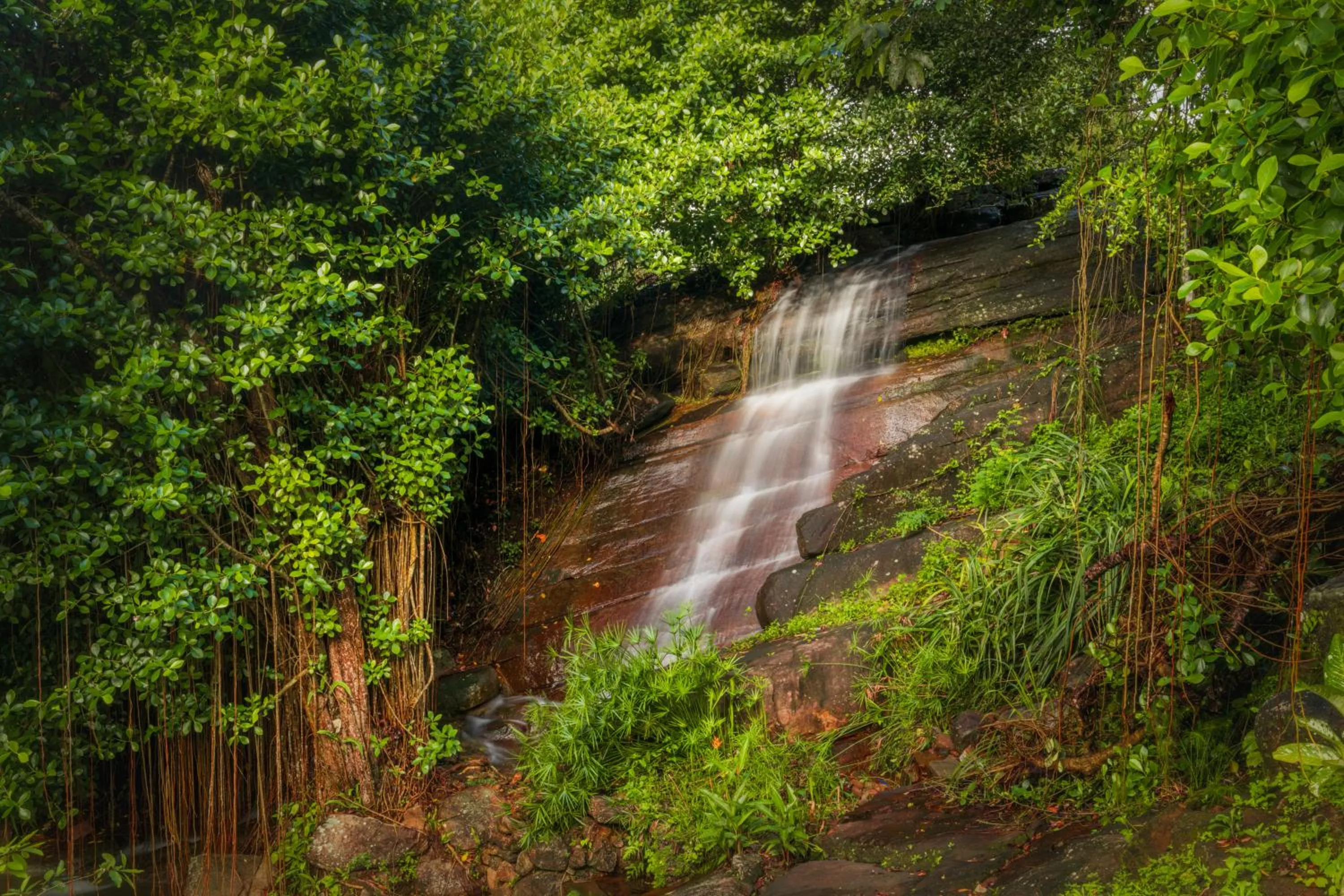 Spring in Villa Vajrapani