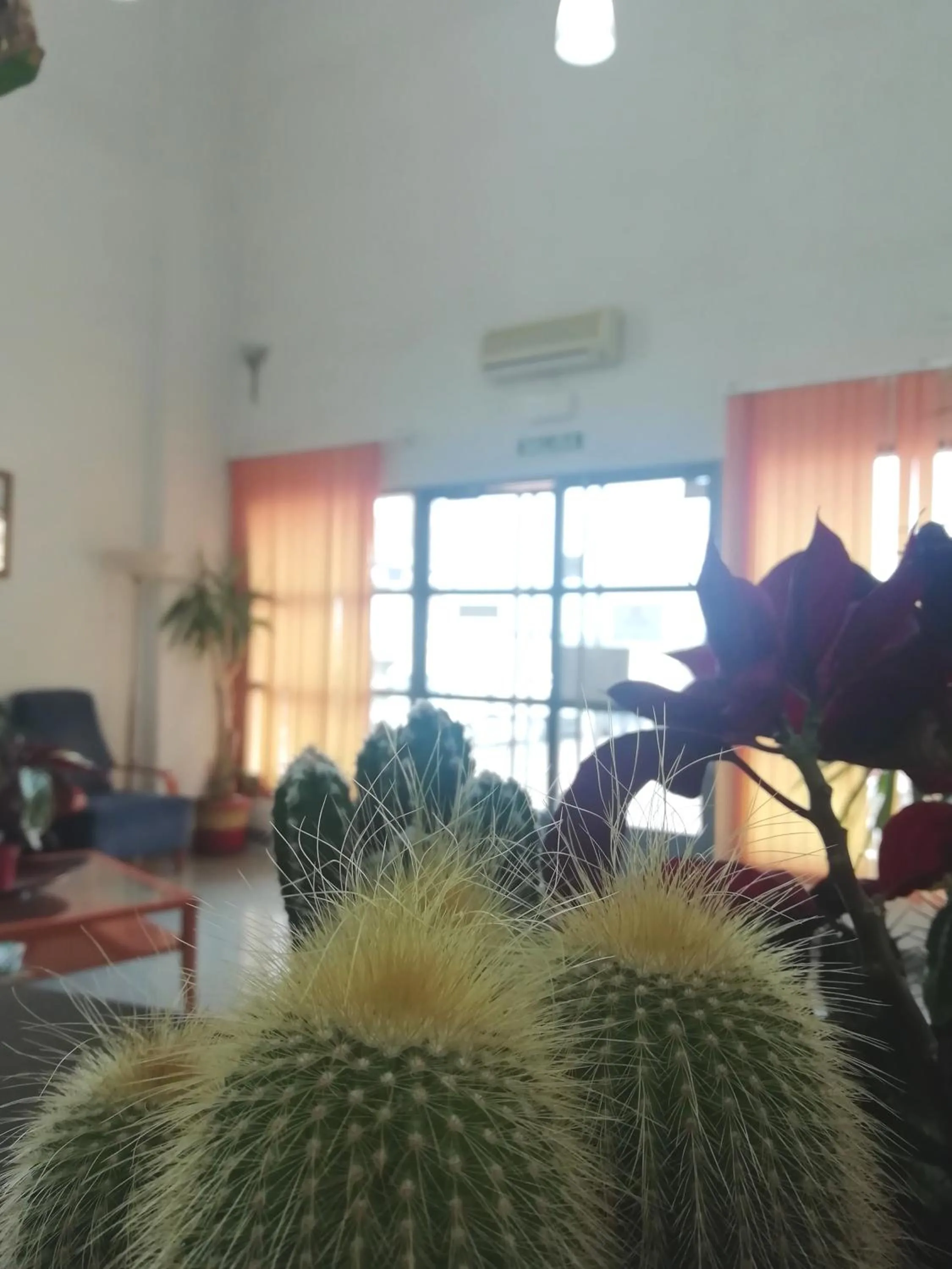 Bayo Lirola Hotel Balisa