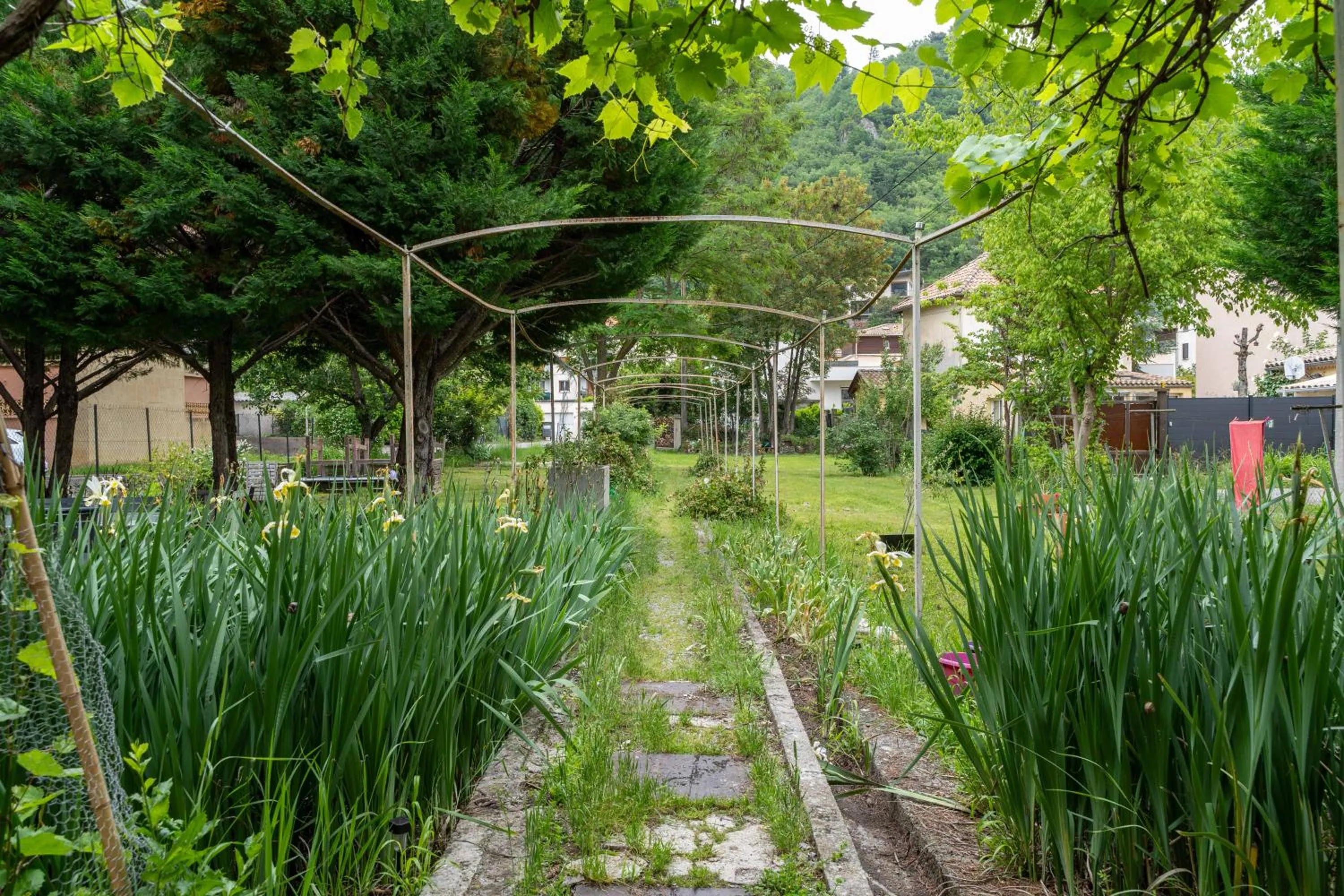Garden in Alexandra Apartments