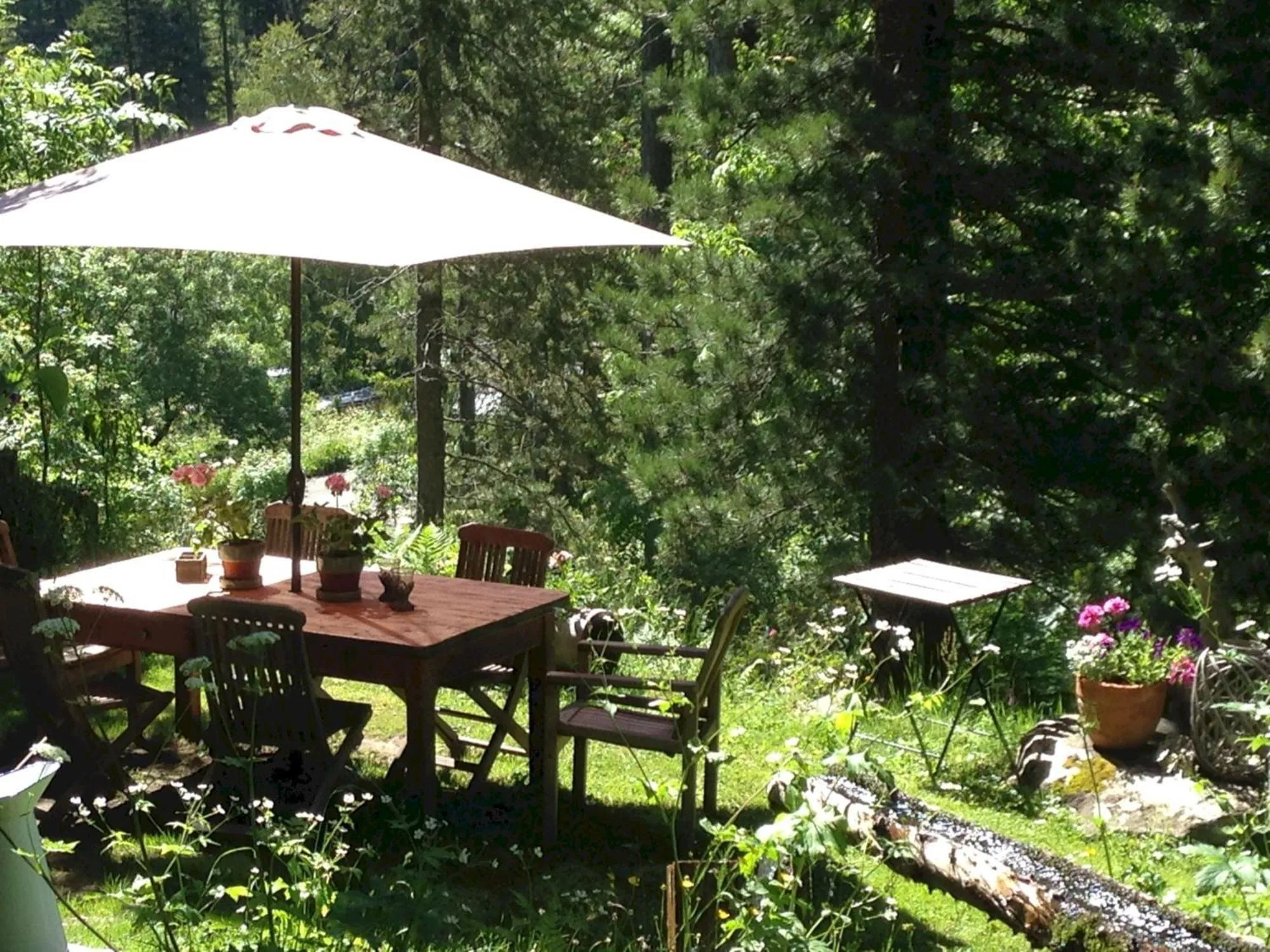 Garden in The Guest House