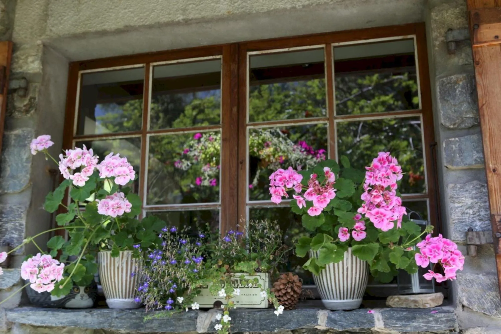 Property building in The Guest House