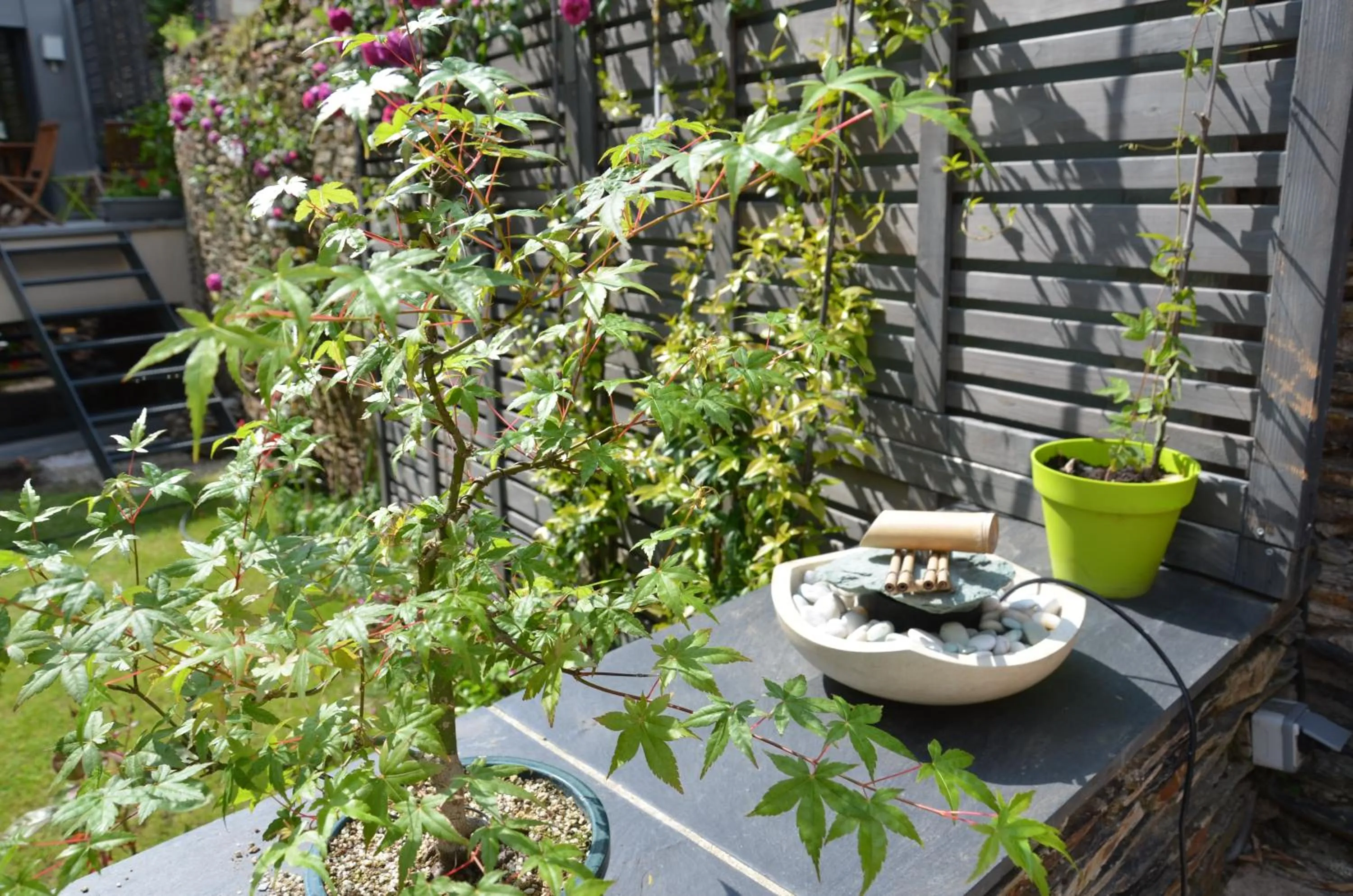 Patio in LE BEAU REPAIRE, chambres d'hôtes, quartier historique, 1 à 3 chambres, étage indépendant