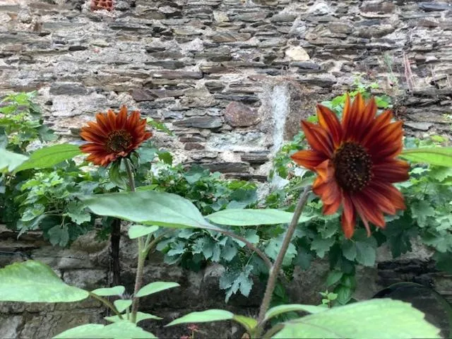 LE BEAU REPAIRE, chambres d'hôtes, quartier historique, 1 à 3 chambres, étage indépendant