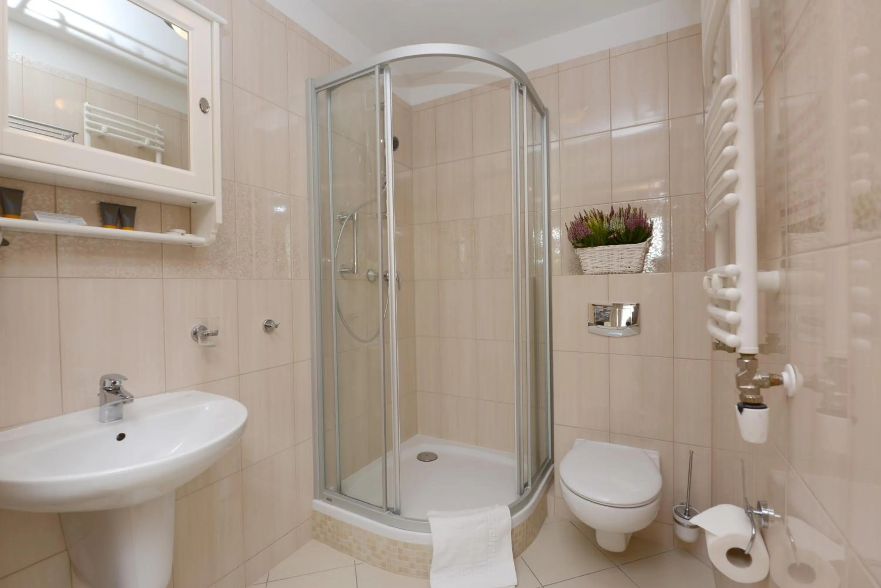 Bathroom in Hotel Alpejski