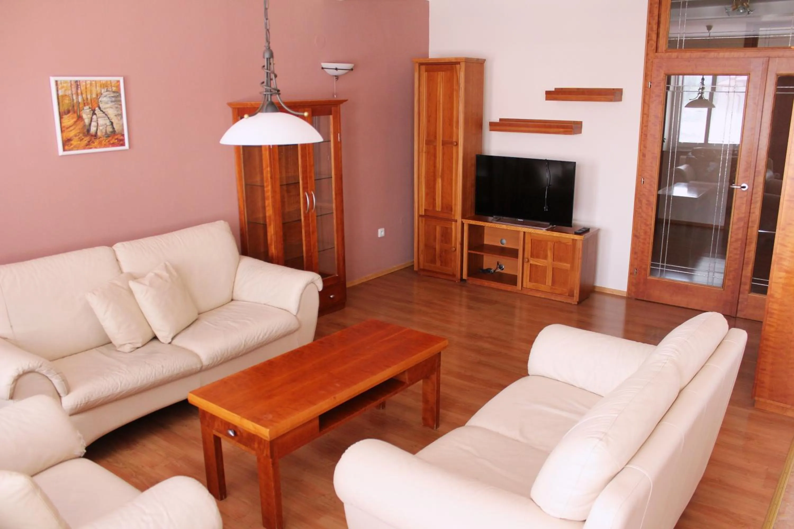 TV and multimedia in Hotel U Labutě