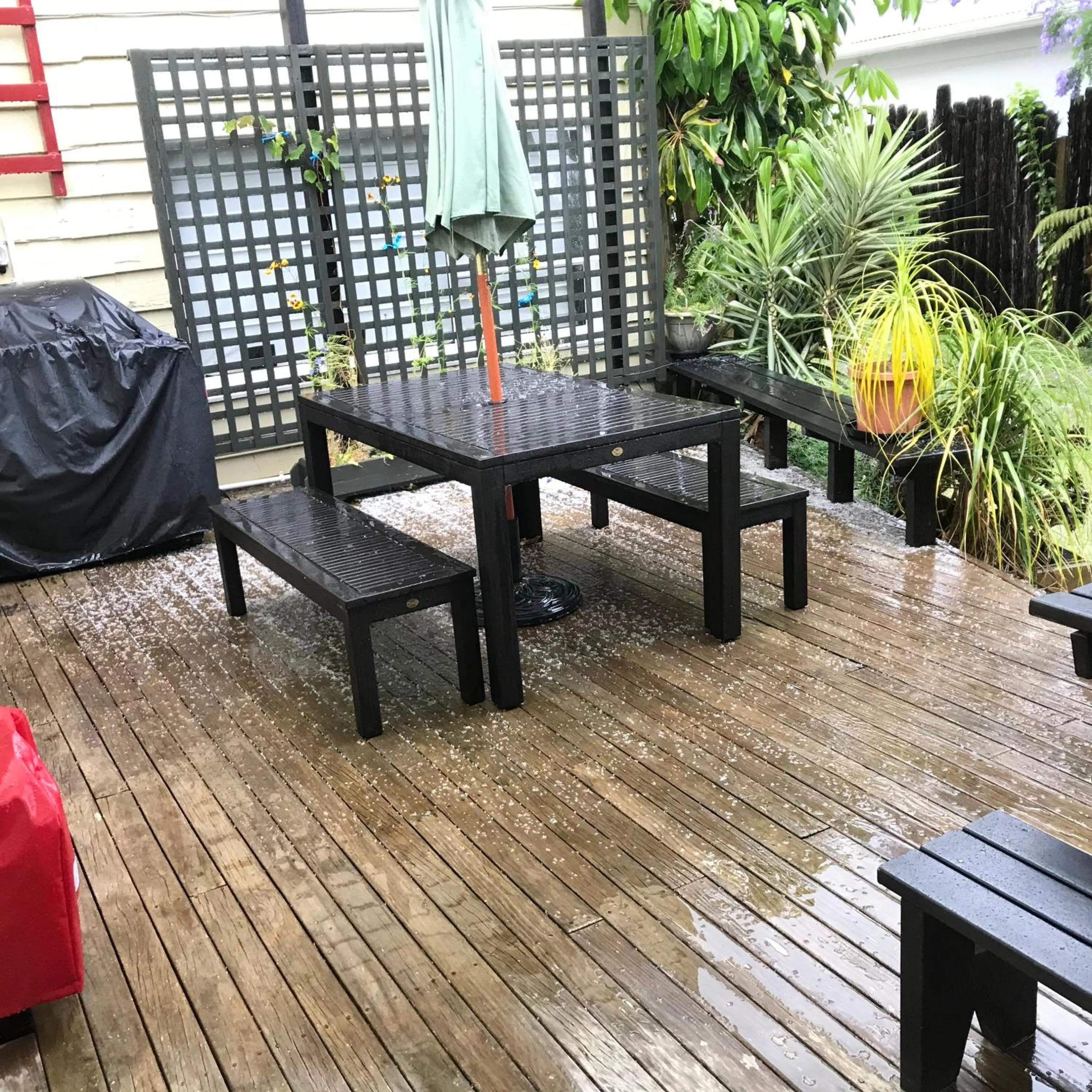 Balcony/Terrace in Lady Bowen Bed & Breakfast