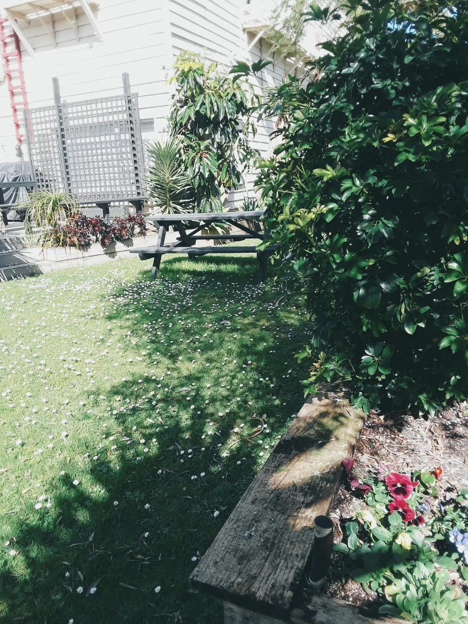 Garden in Lady Bowen Bed & Breakfast