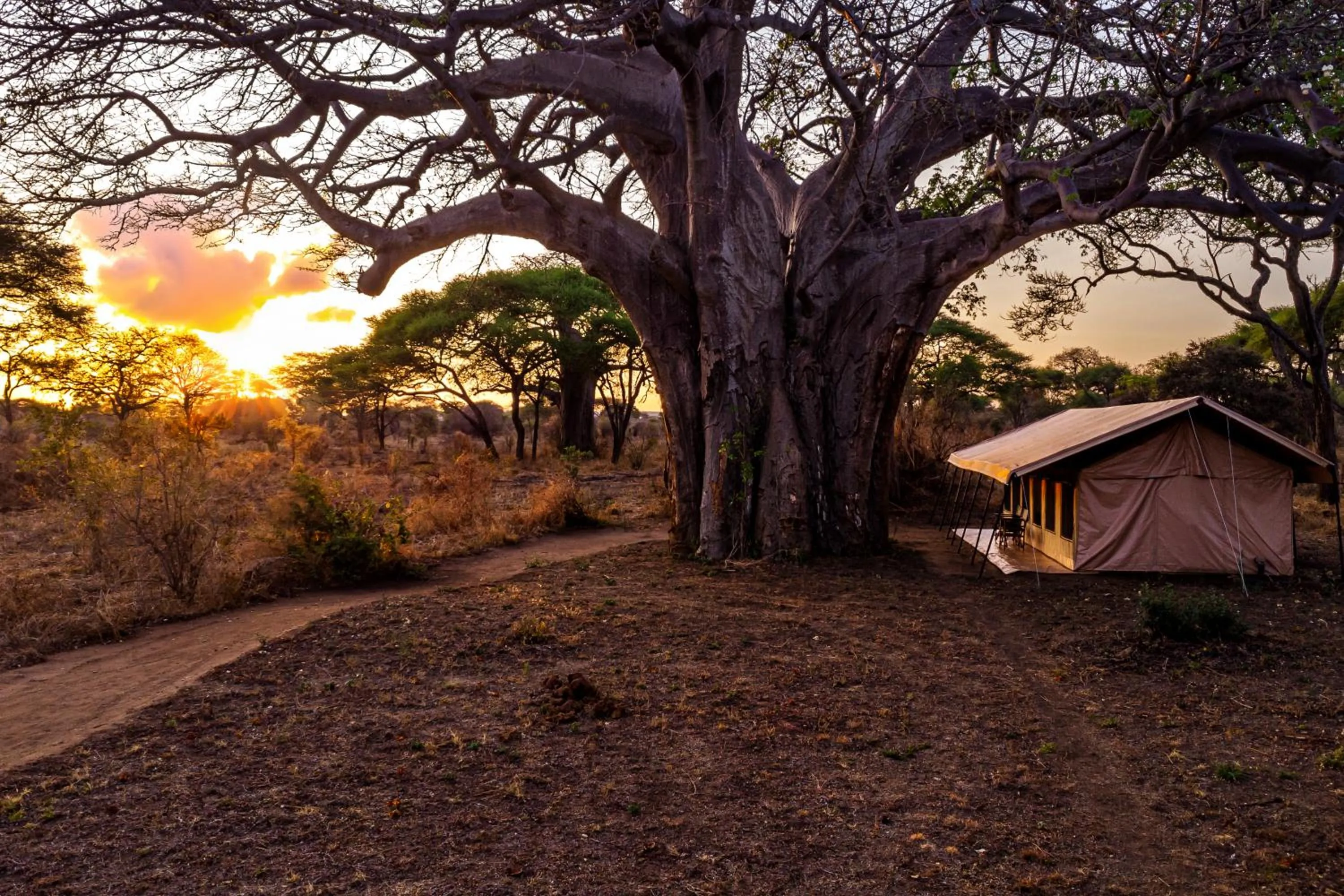 View (from property/room) in Baobab Tented Camp