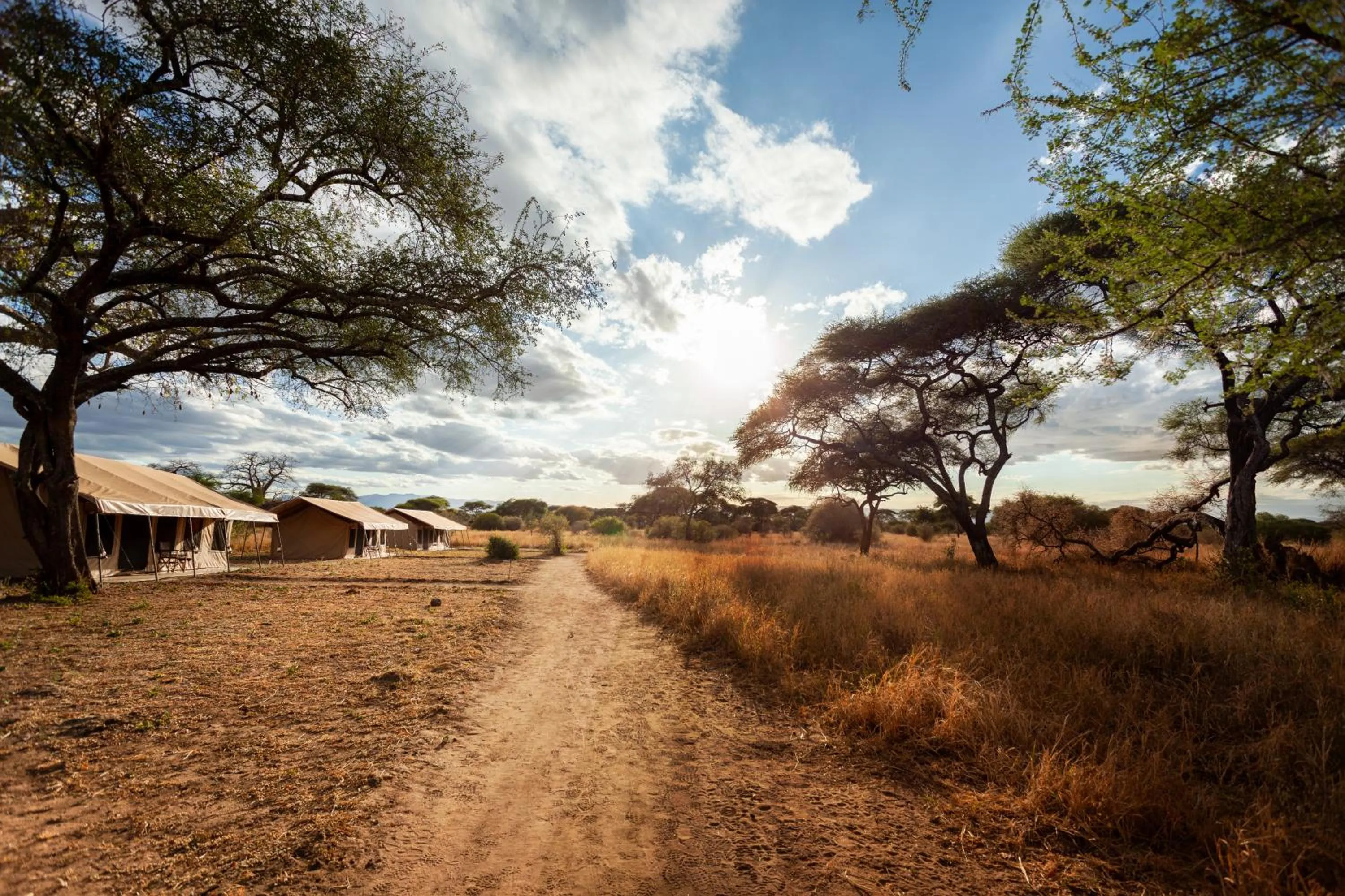 View (from property/room) in Baobab Tented Camp