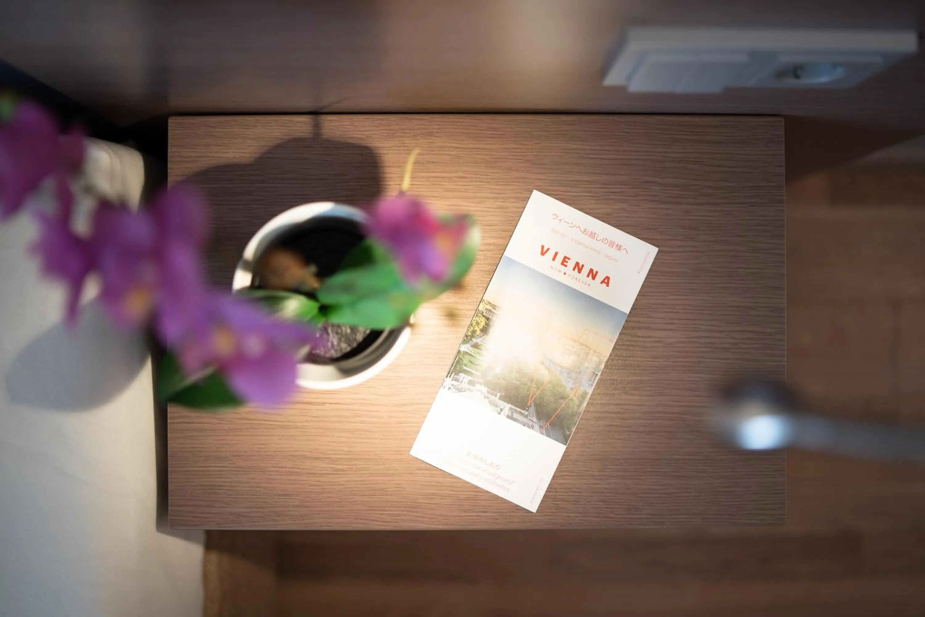 Lobby or reception in Hotel Orangerie