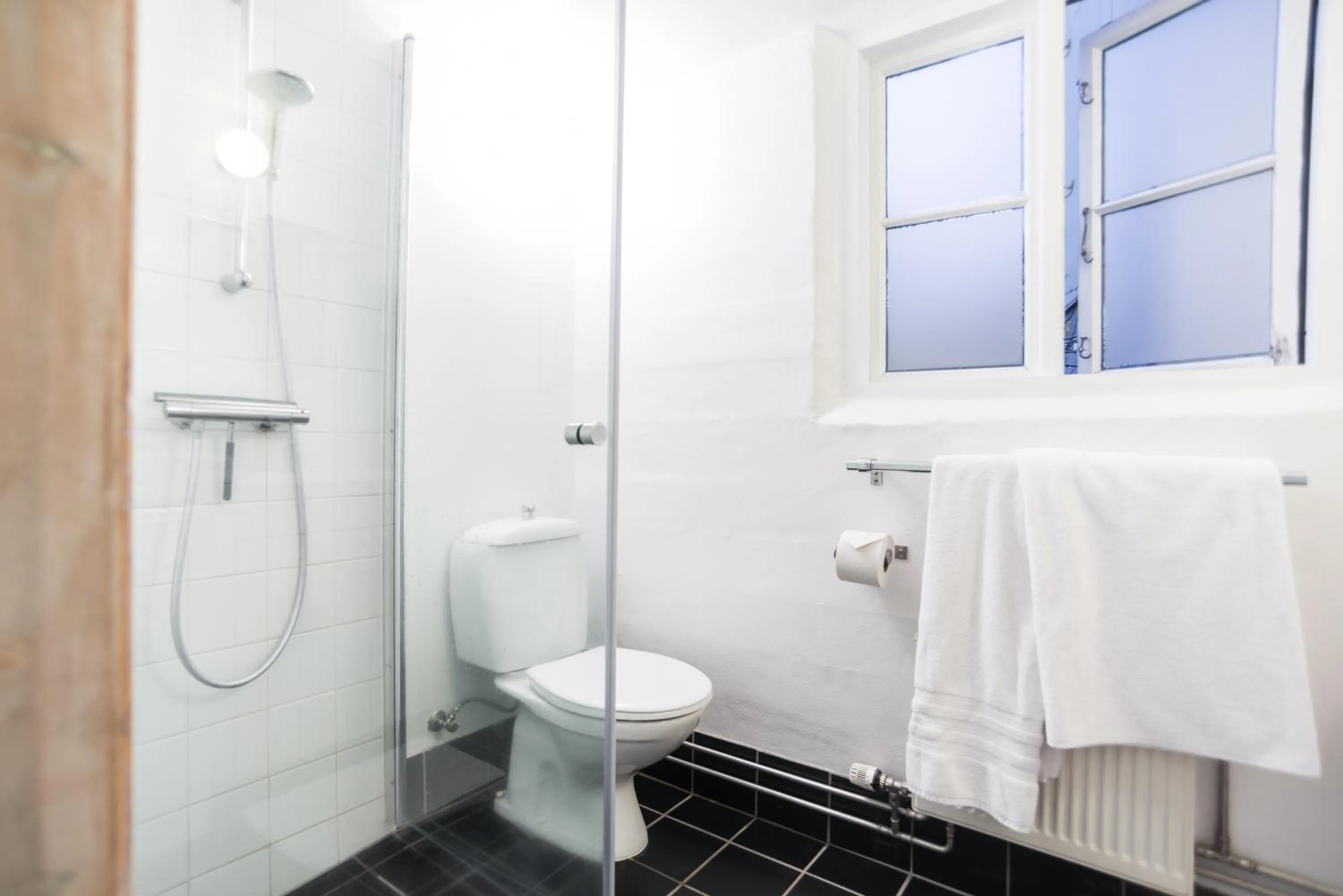 Shower in Reykjavík Treasure B&B