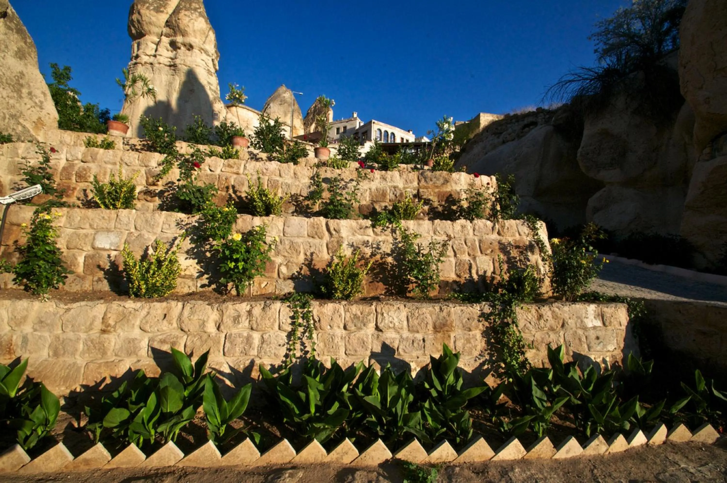Garden in Grand Cave Suites