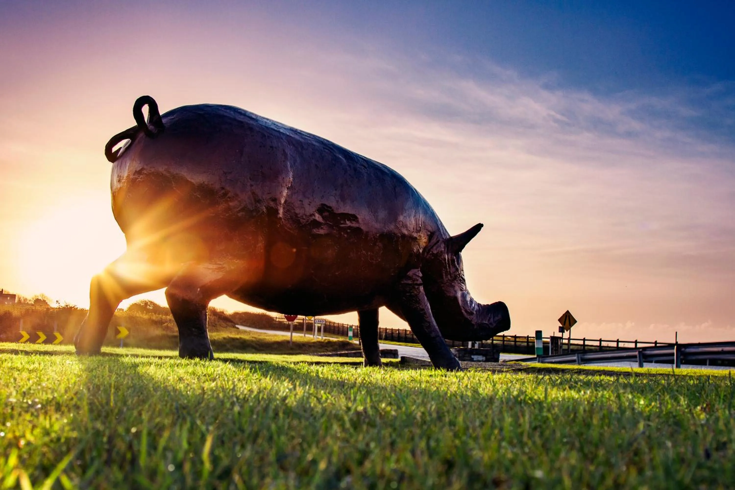 Garden in Diamond Coast Hotel