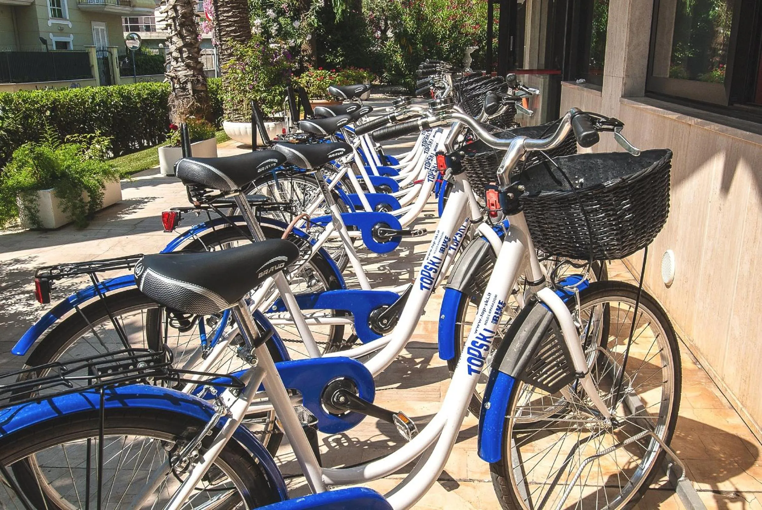 Area and facilities in Family Hotel Relax