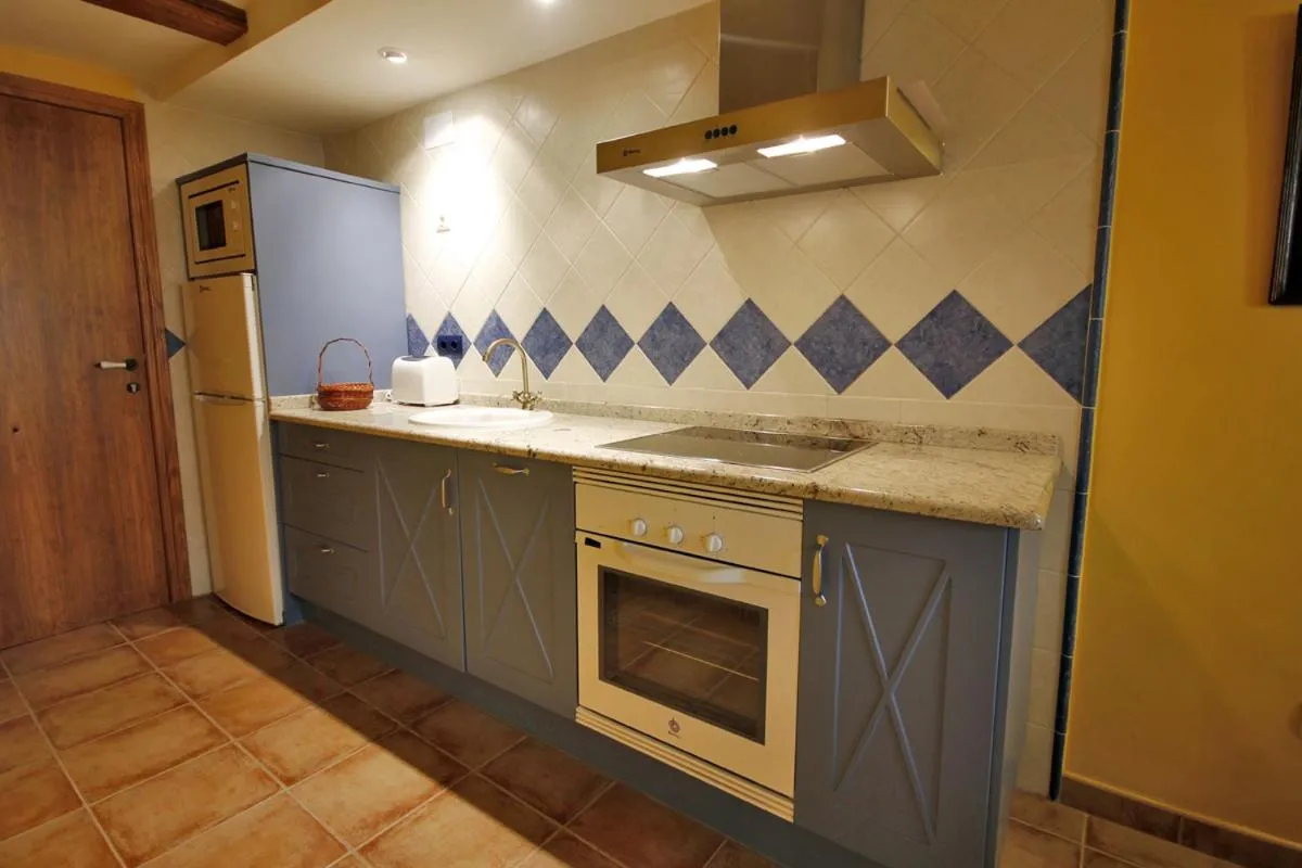 Kitchen or kitchenette in Apartamentos Santa Agueda