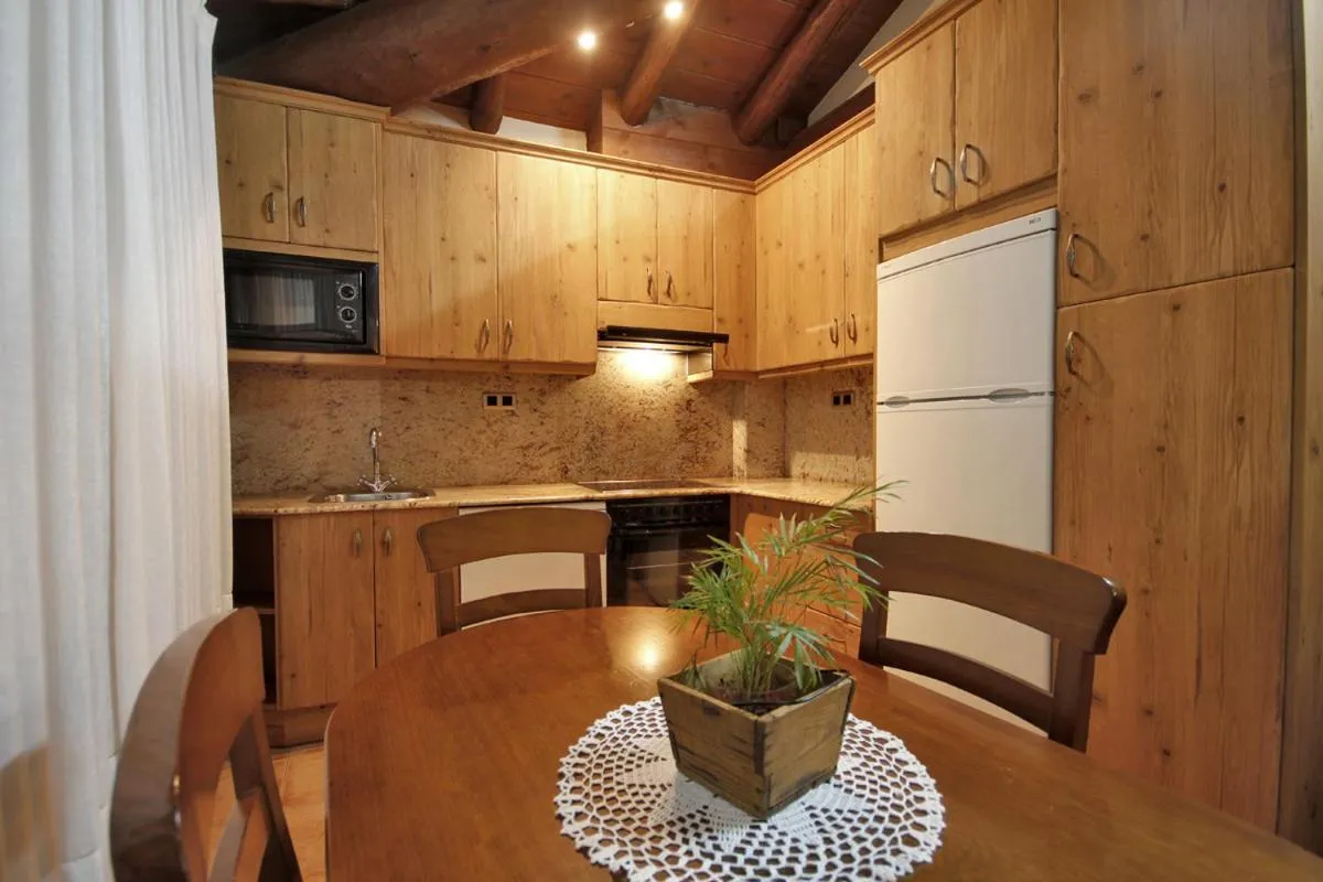 Kitchen or kitchenette in Apartamentos Santa Agueda