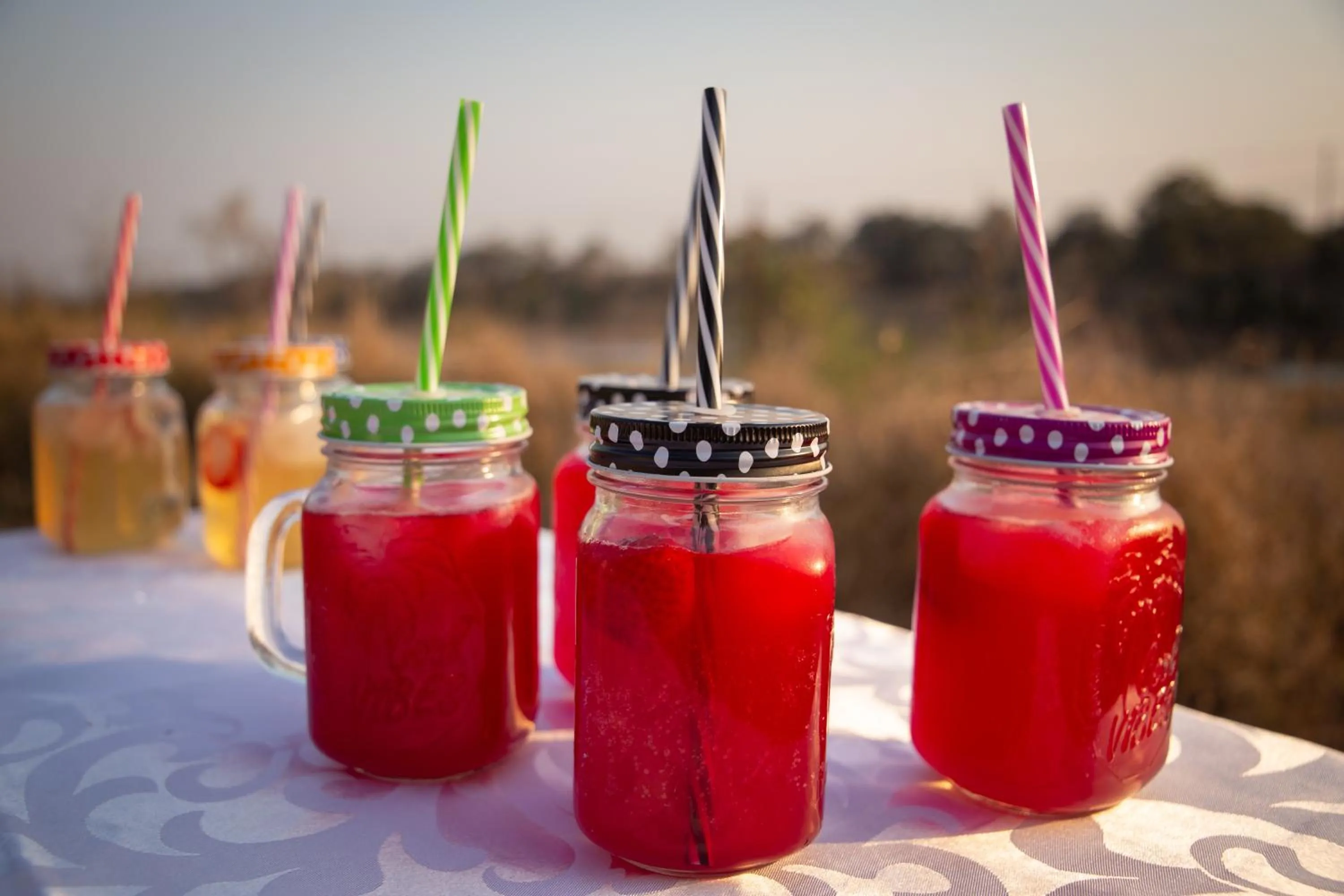 Food and drinks in Doringpoort Lodge