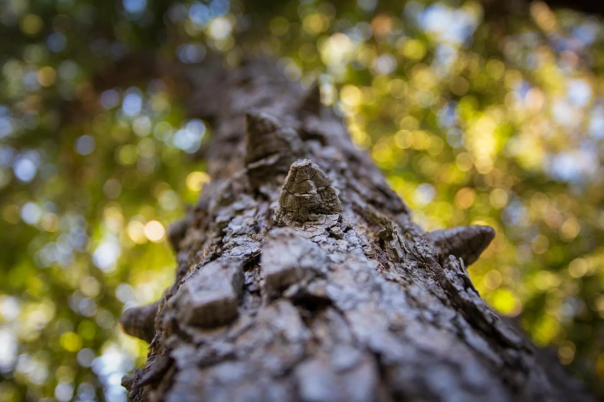 Natural landscape in Doringpoort Lodge