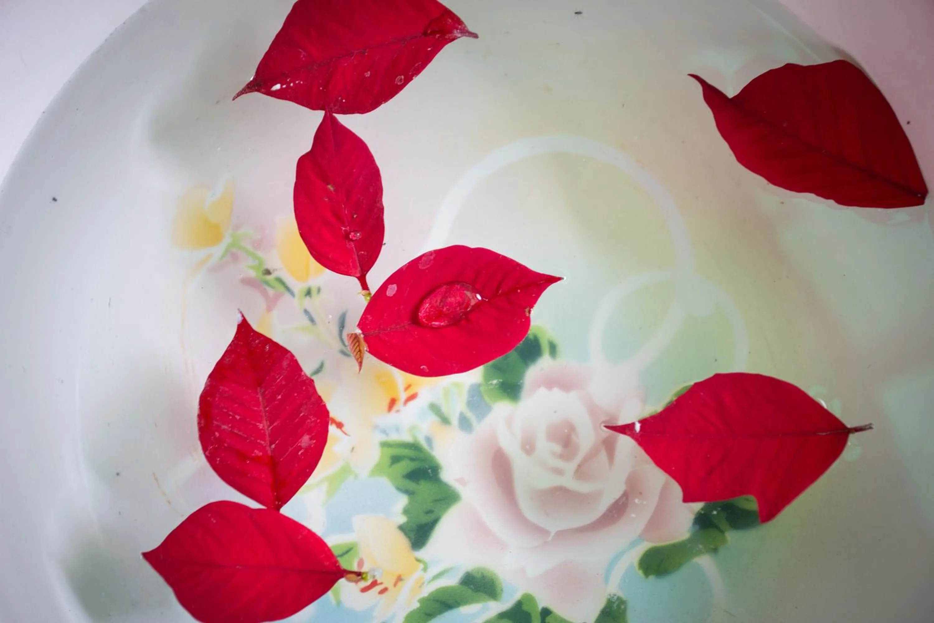 Spa and wellness centre/facilities in Doringpoort Lodge