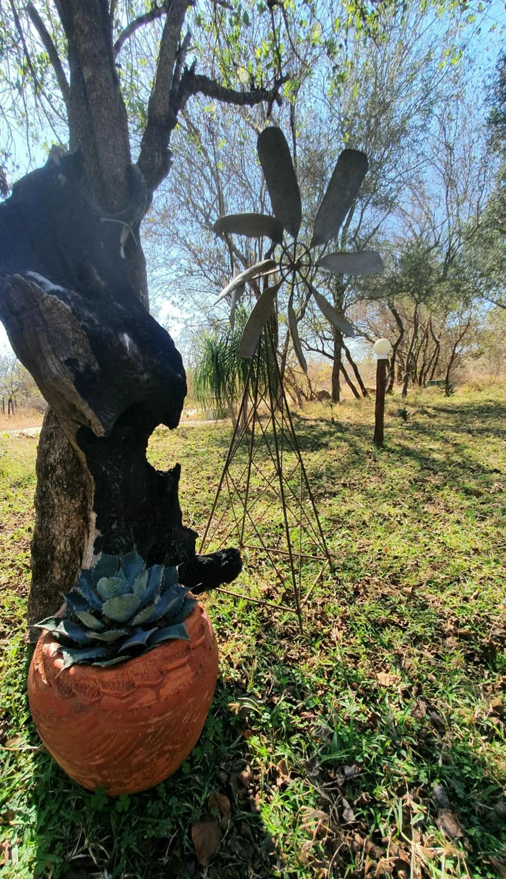Garden in Doringpoort Lodge