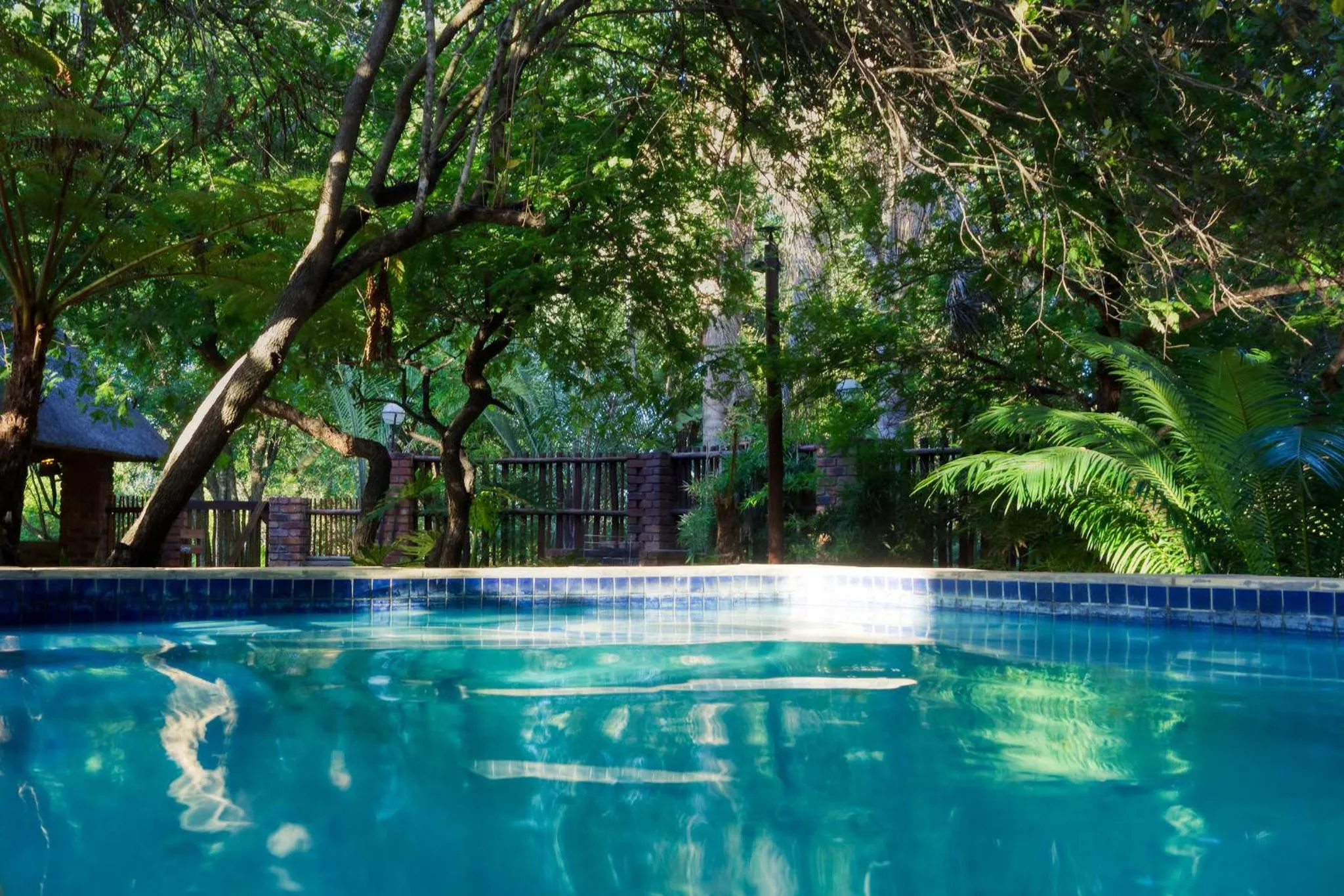 Swimming pool in Doringpoort Lodge