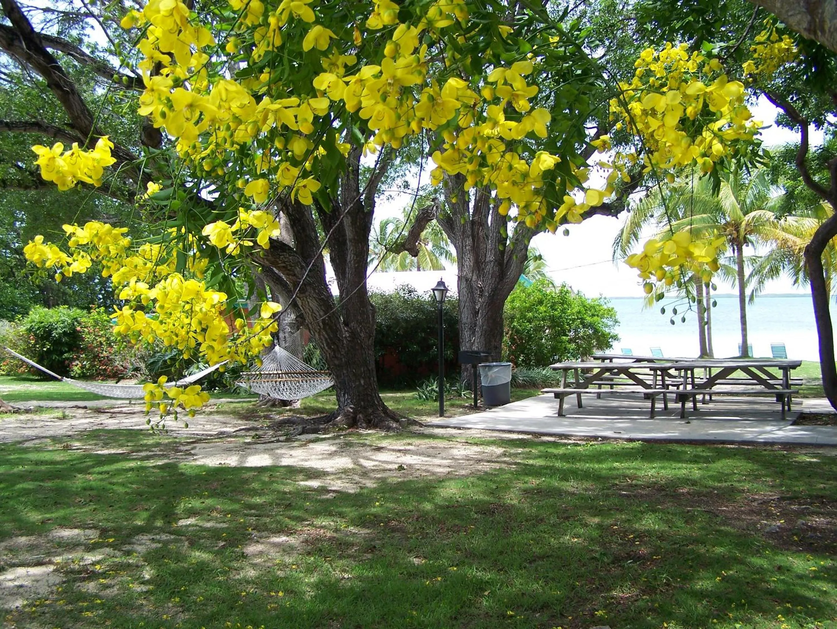 BBQ facilities in Rock Reef Resort