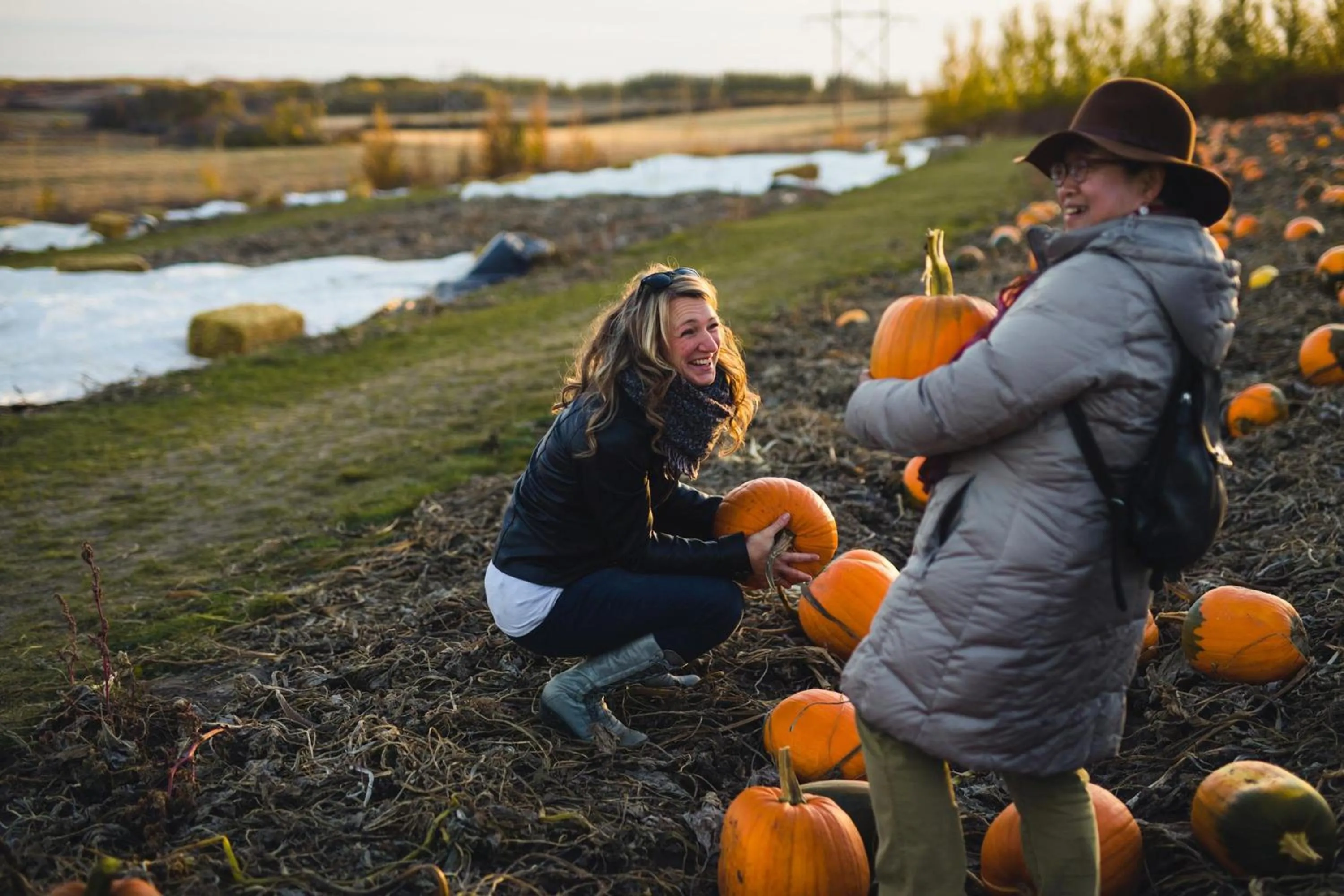 Nearby landmark in Holiday Inn Saskatoon Downtown by IHG