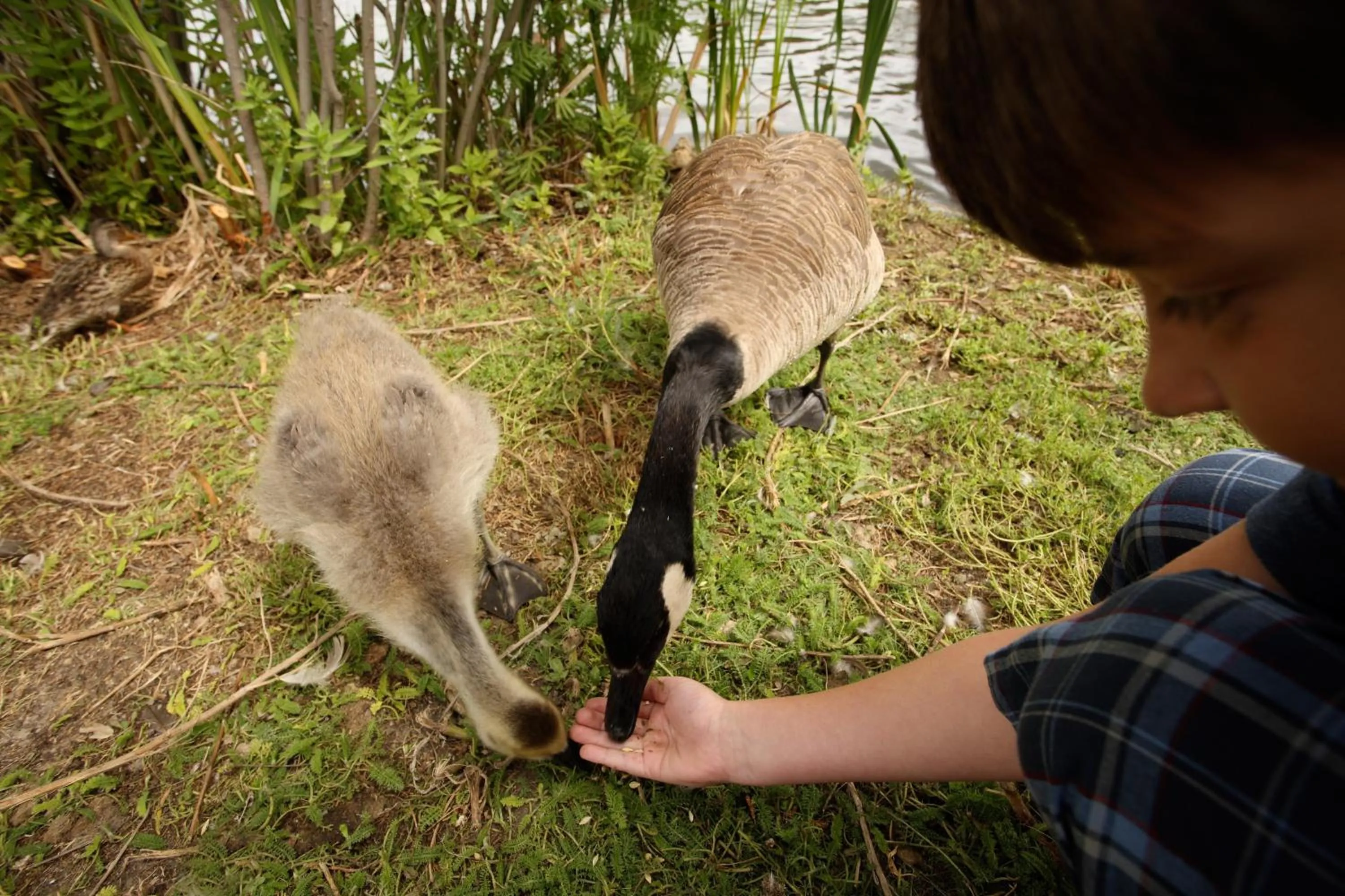 Nearby landmark in Holiday Inn Saskatoon Downtown by IHG