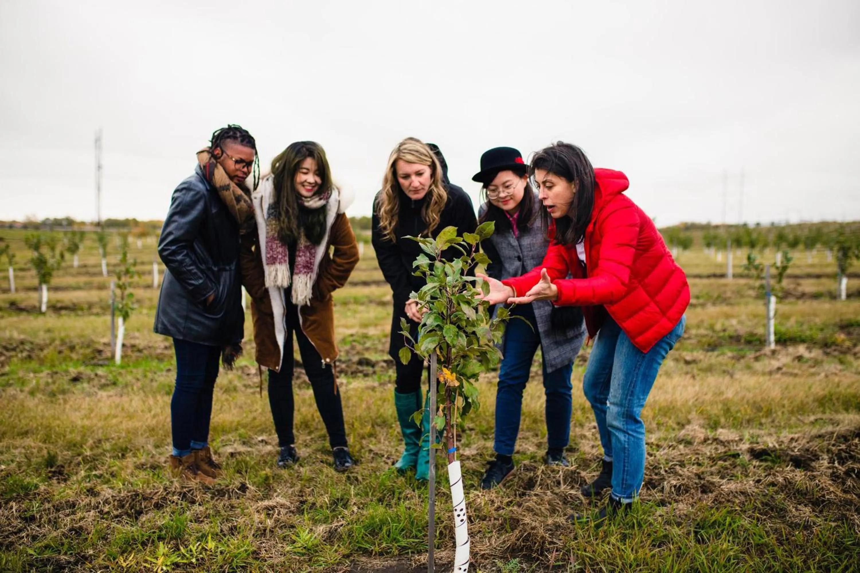Nearby landmark in Holiday Inn Saskatoon Downtown by IHG