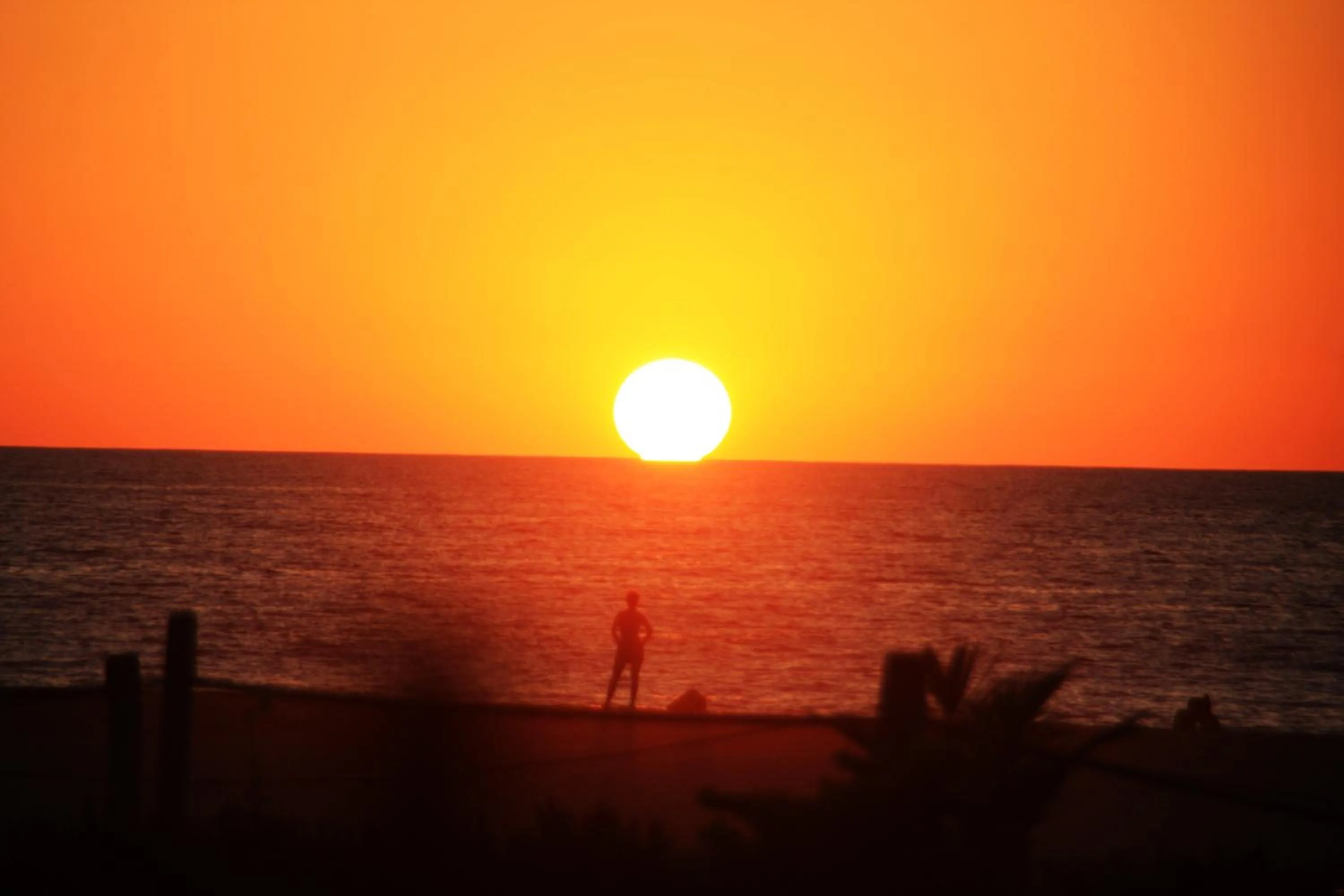 Restaurant/places to eat in Surf Olas Altas